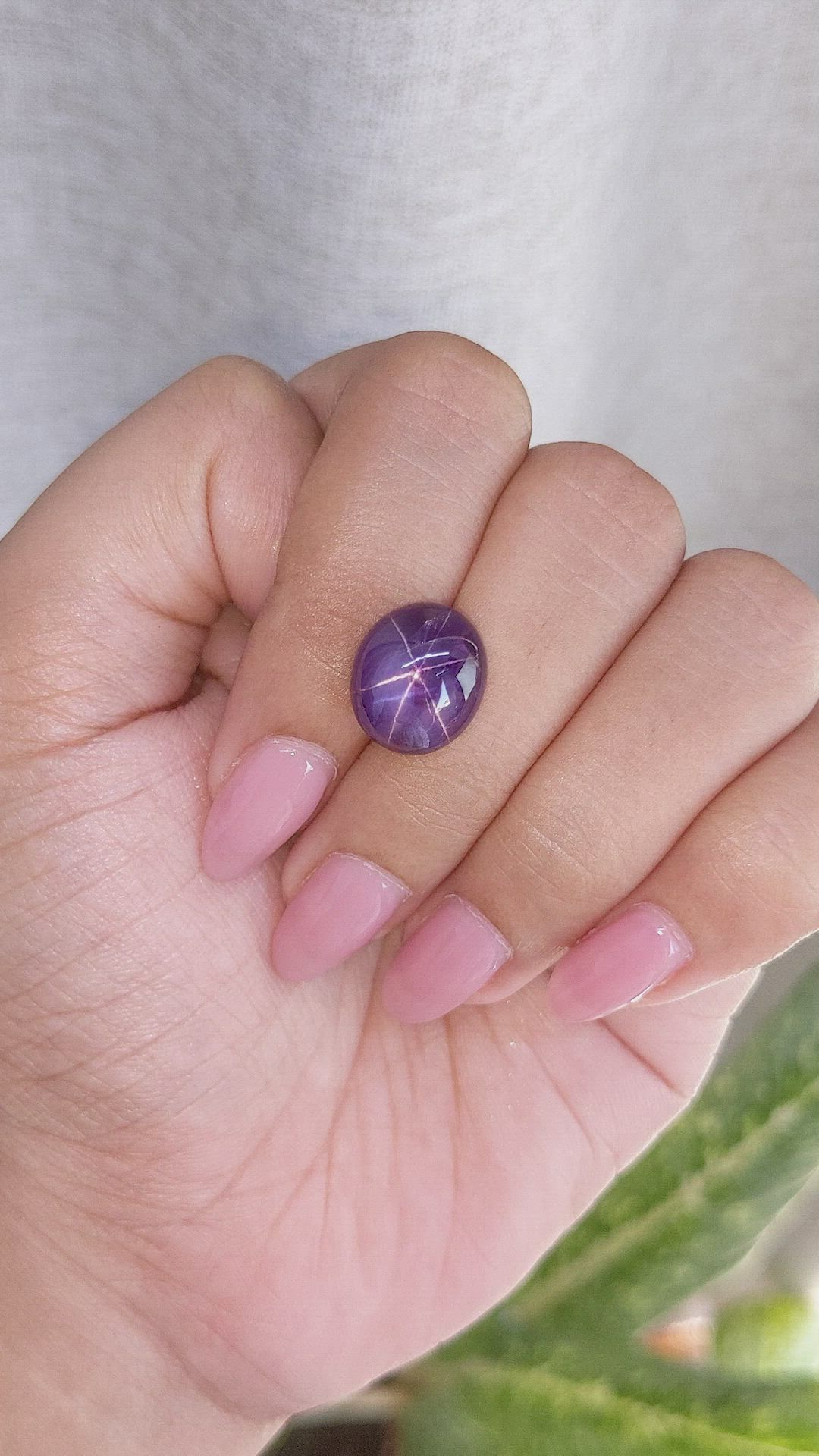 9.88 Ct. Purple Star Sapphire from Ceylon (Sri Lanka) Size Video