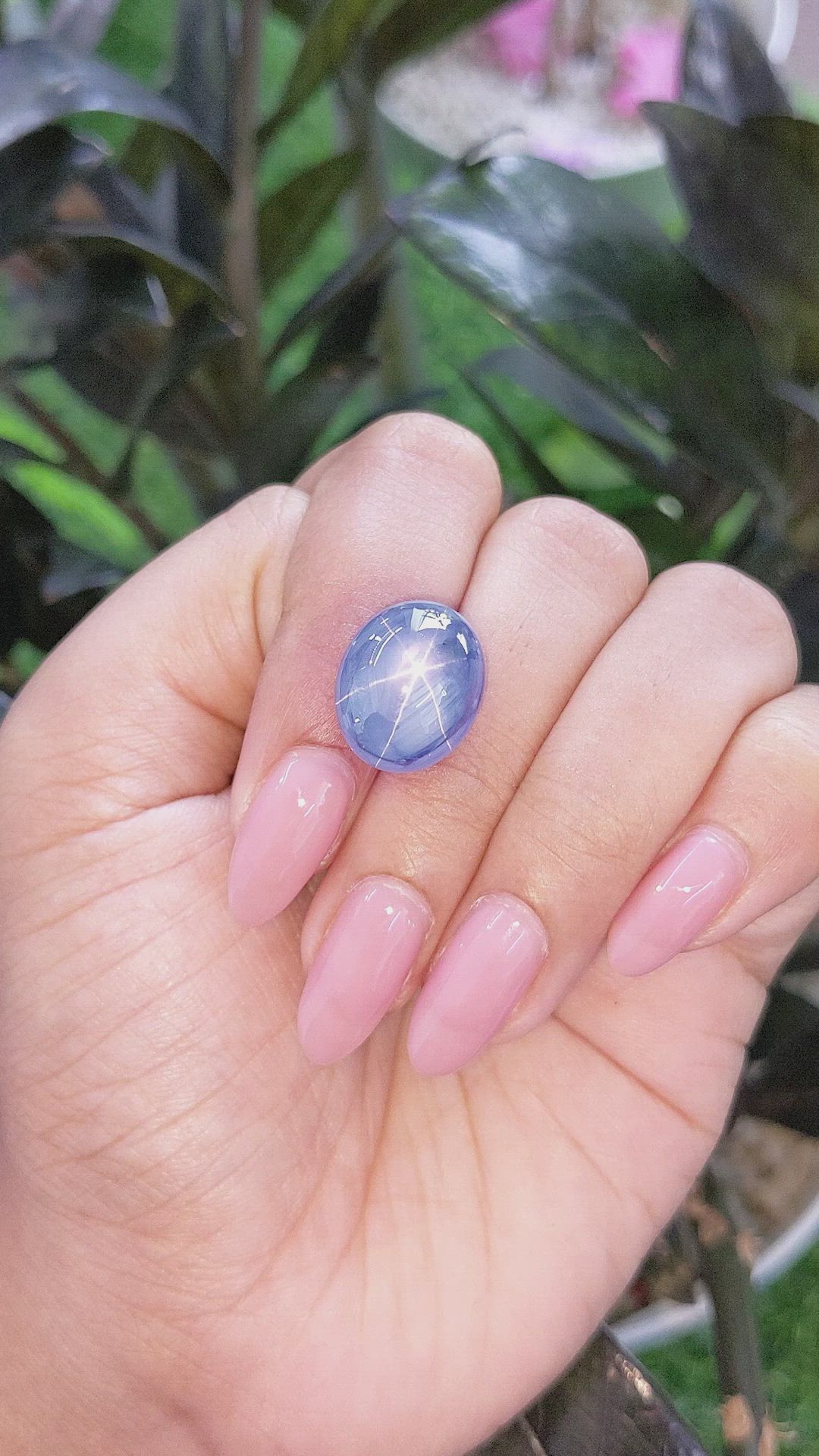 21.10 Ct. Blue Star Sapphire from Ceylon (Sri Lanka) Size Video