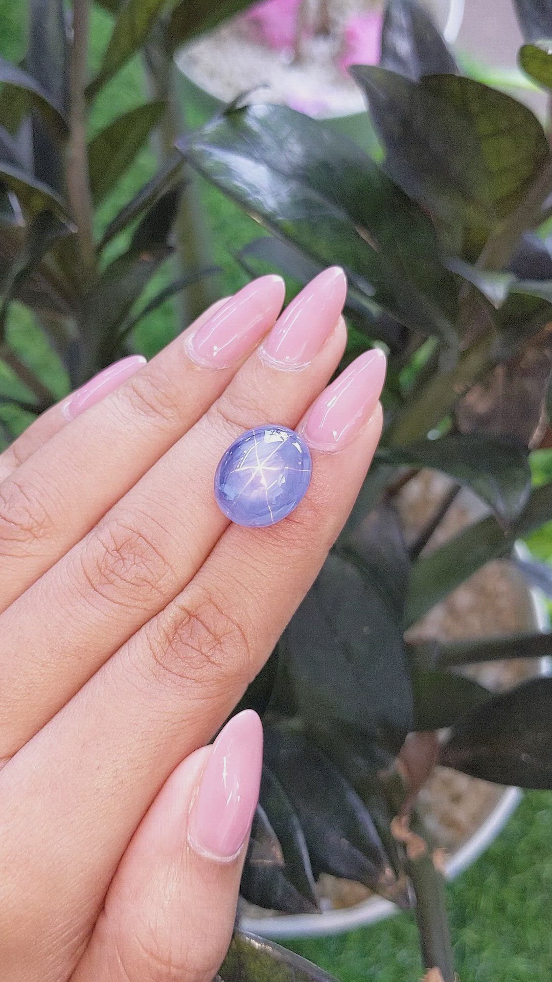 21.10 Ct. Blue Star Sapphire from Ceylon (Sri Lanka) Size Video