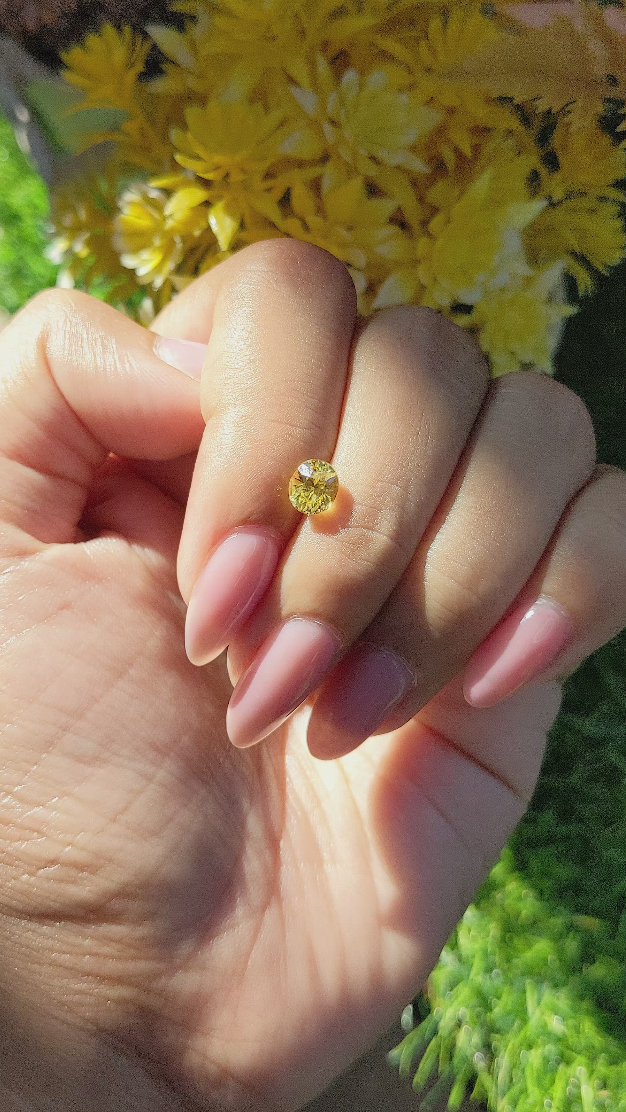1.15 Ct. Yellow Sapphire from Ceylon (Sri Lanka) Size Video