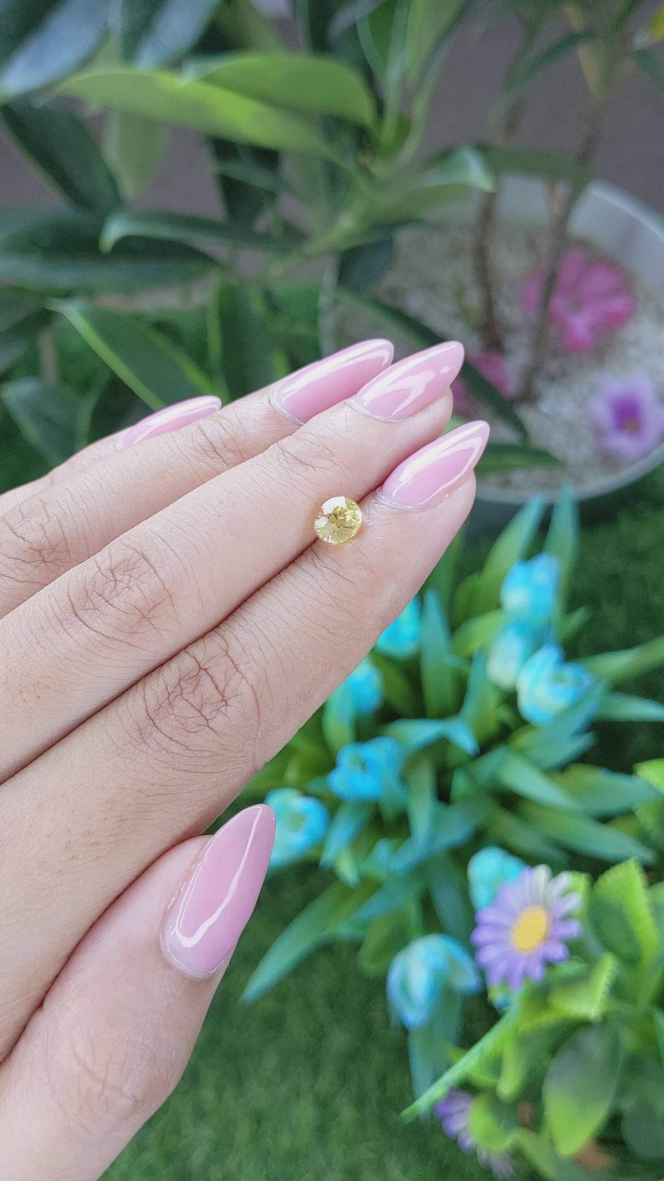 1.15 Ct. Yellow Sapphire from Ceylon (Sri Lanka) Size Video
