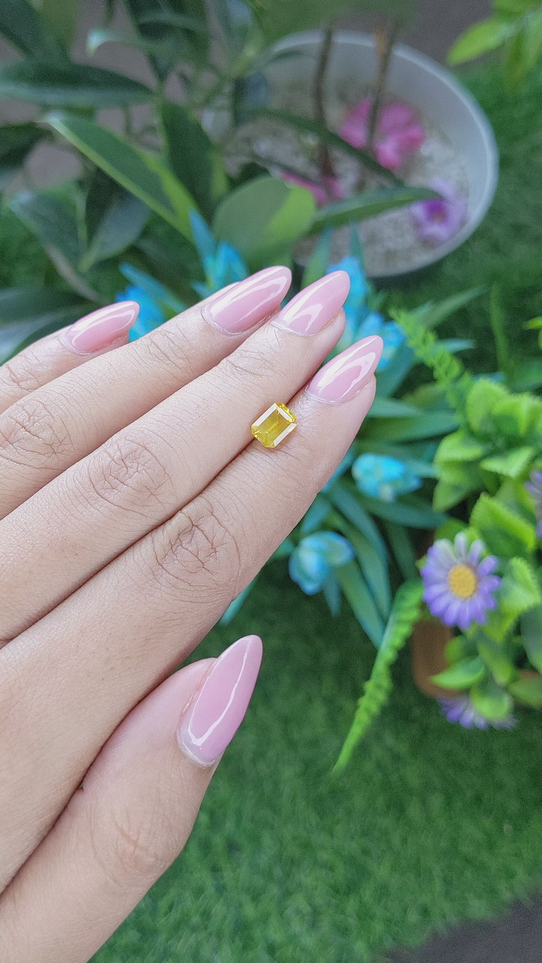 1.16 Ct. Yellow Sapphire from Ceylon (Sri Lanka) Size Video