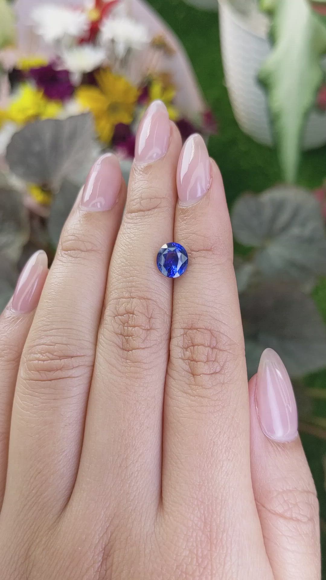 2.03 Ct. Blue Sapphire from Ceylon (Sri Lanka) Size Video