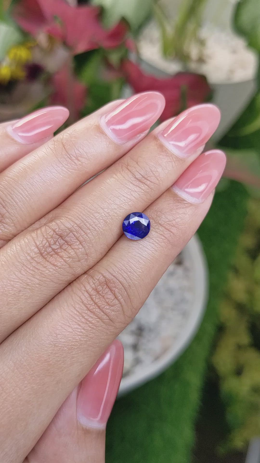 1.50 Ct. Blue Sapphire from Ceylon (Sri Lanka) Size Video