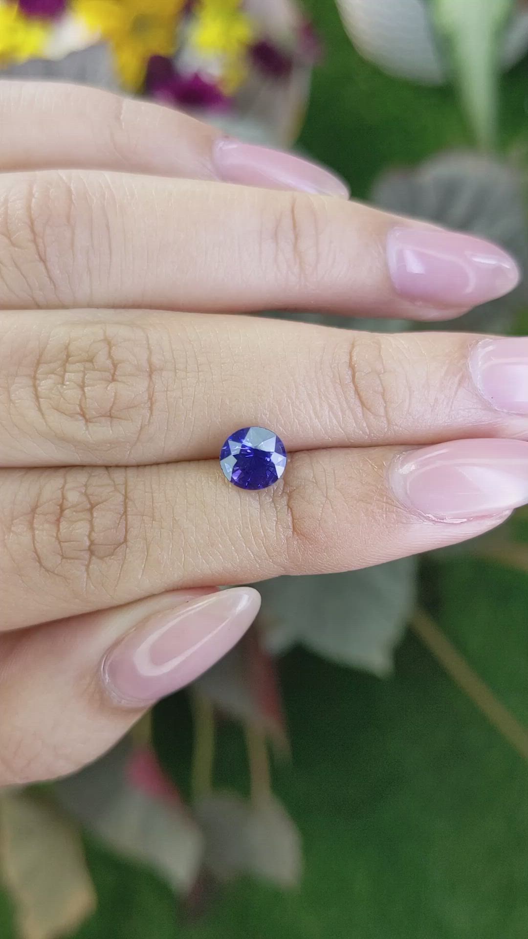 1.58 Ct. Blue Sapphire from Ceylon (Sri Lanka) Size Video
