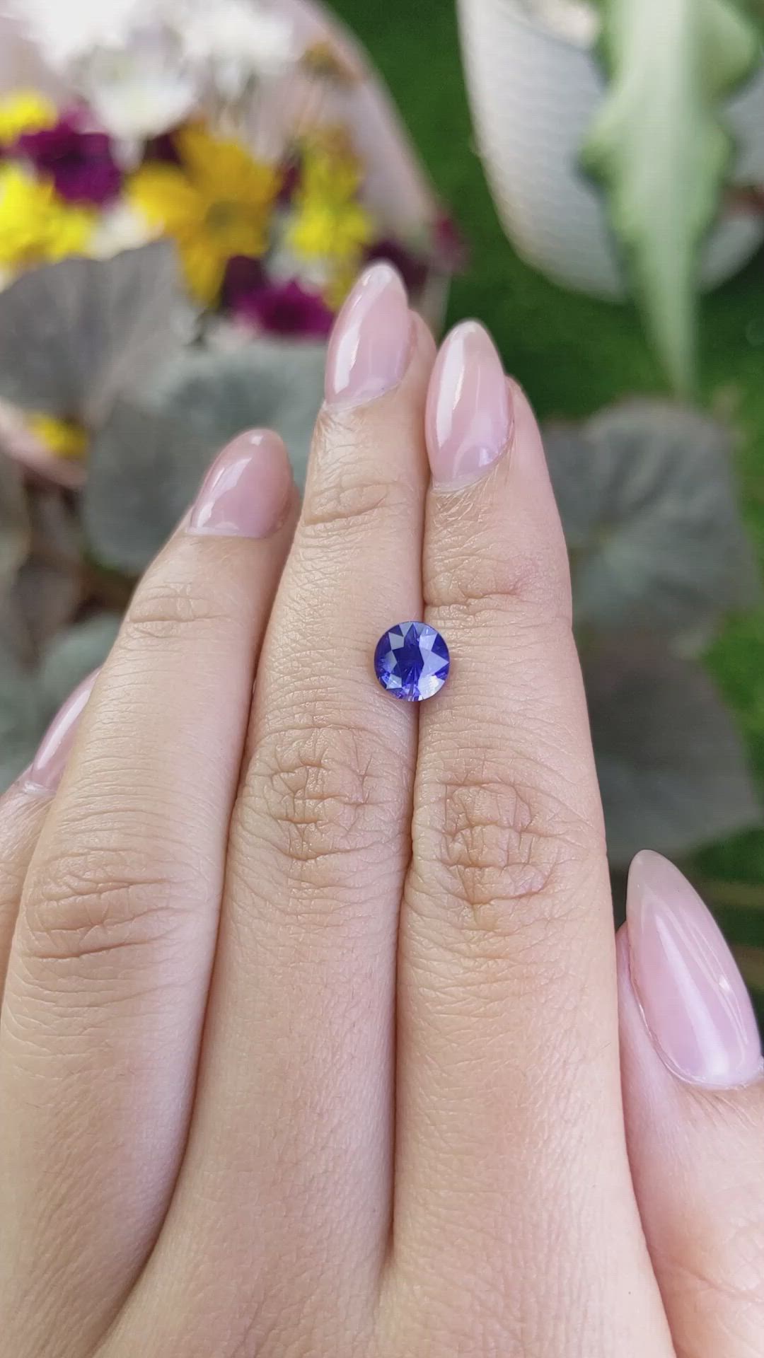 1.58 Ct. Blue Sapphire from Ceylon (Sri Lanka) Size Video
