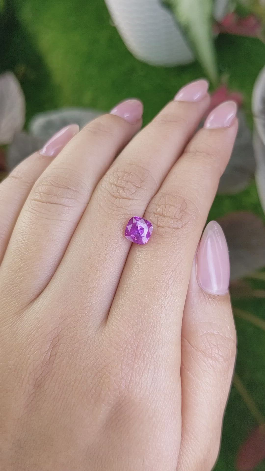 2.00 Ct. Purplish Pink Sapphire from Ceylon (Sri Lanka) Size Video