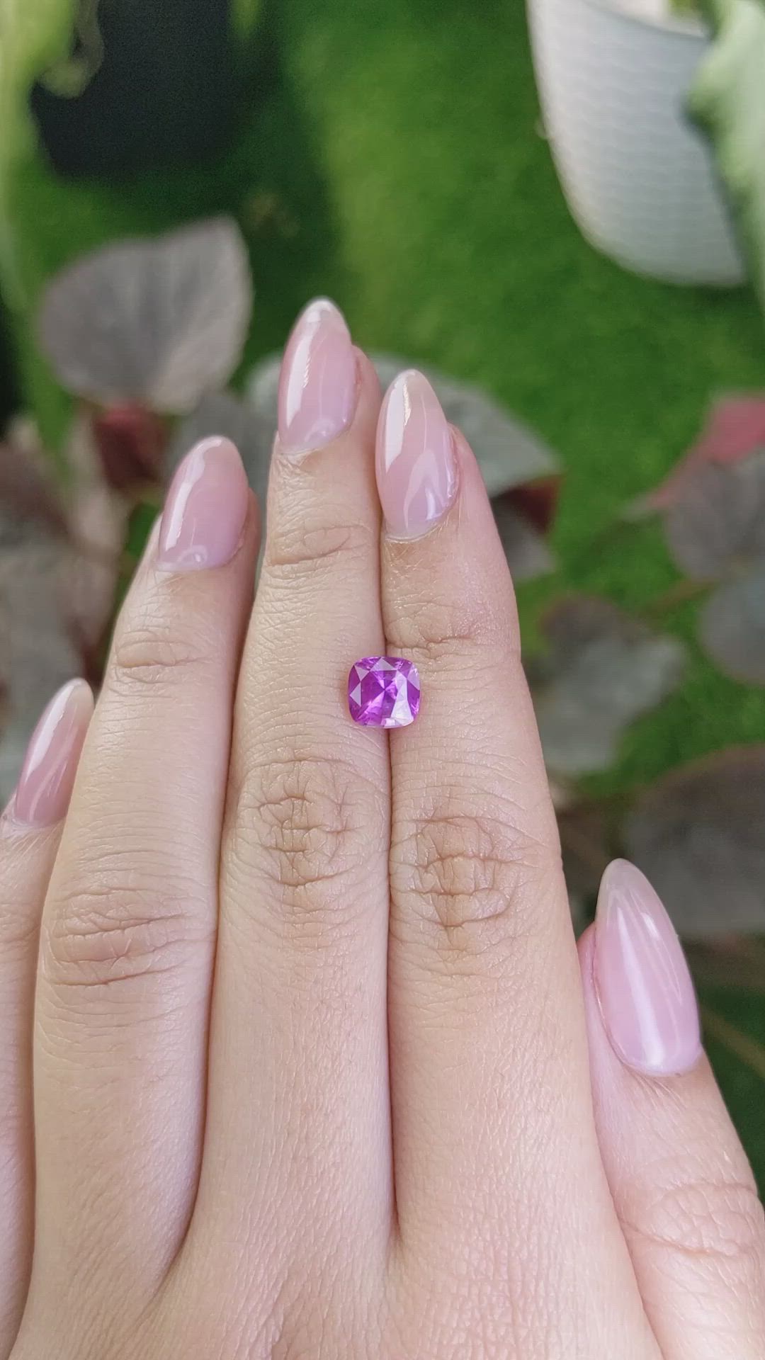 2.00 Ct. Purplish Pink Sapphire from Ceylon (Sri Lanka) Size Video