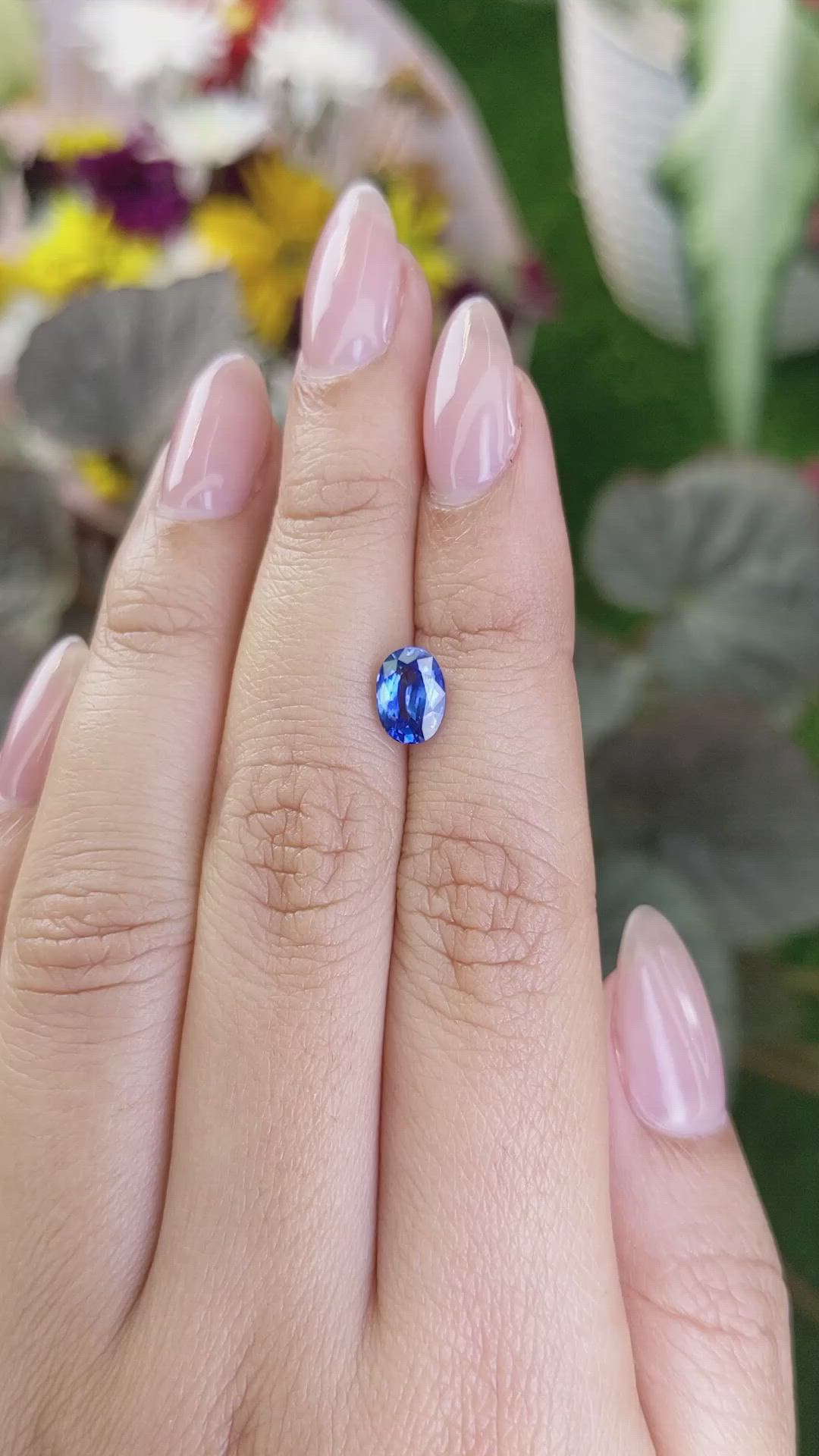 1.36 Ct. Blue Sapphire from Ceylon (Sri Lanka) Size Video