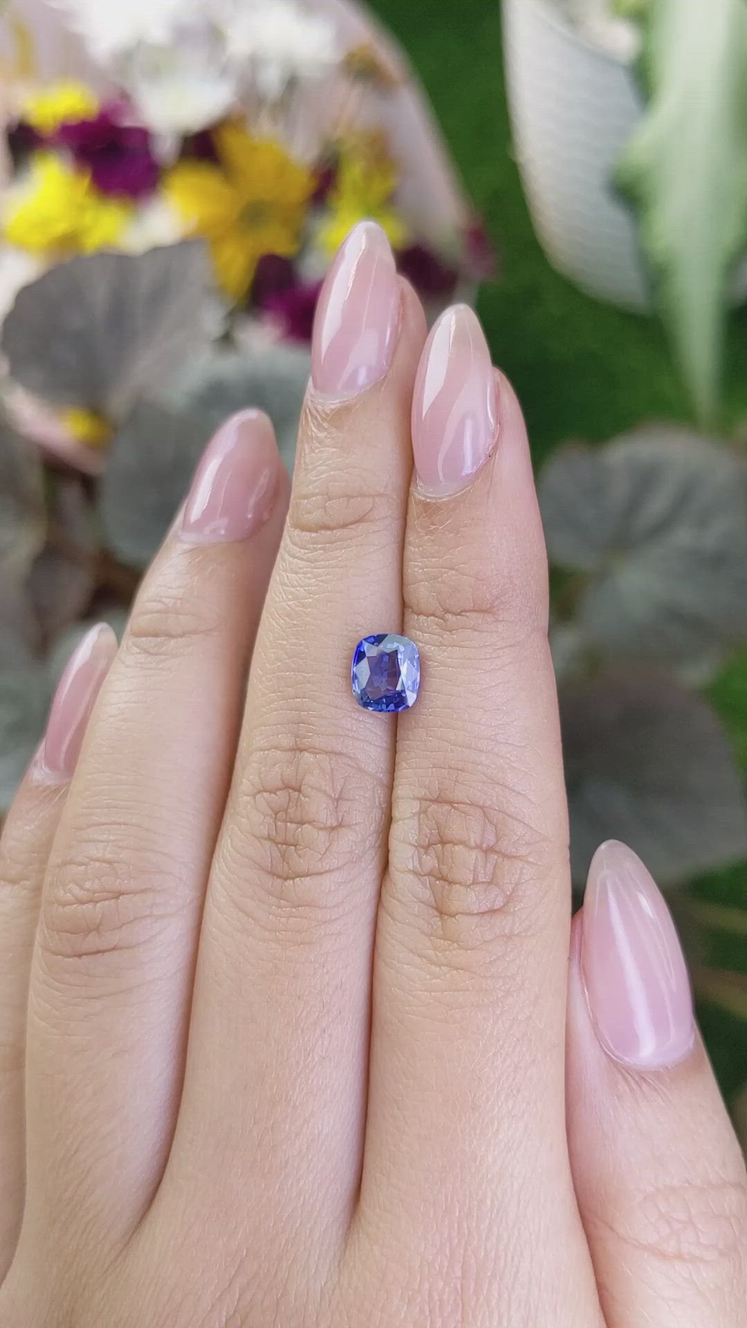 1.48 Ct. Blue Sapphire from Ceylon (Sri Lanka) Size Video