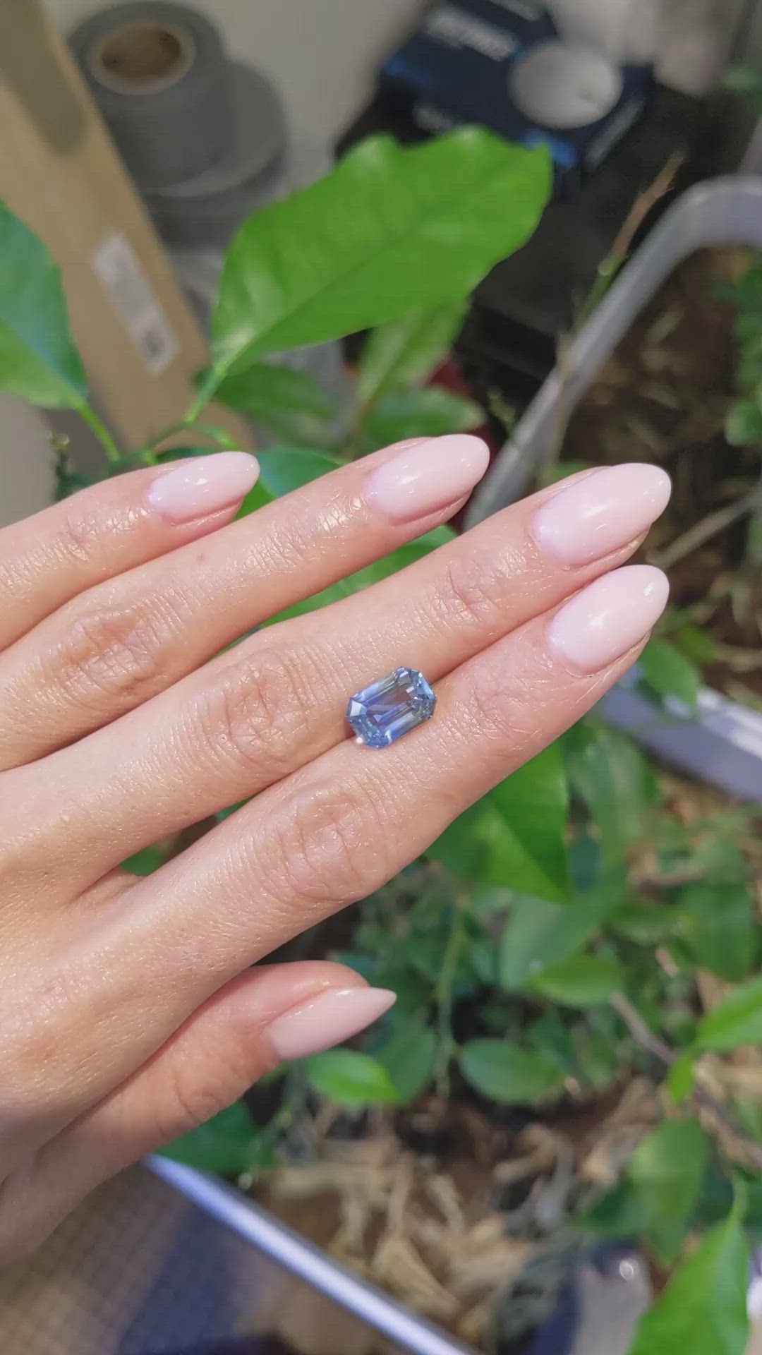5.01 Ct. Bi Color Sapphire from Ceylon (Sri Lanka) Size Video