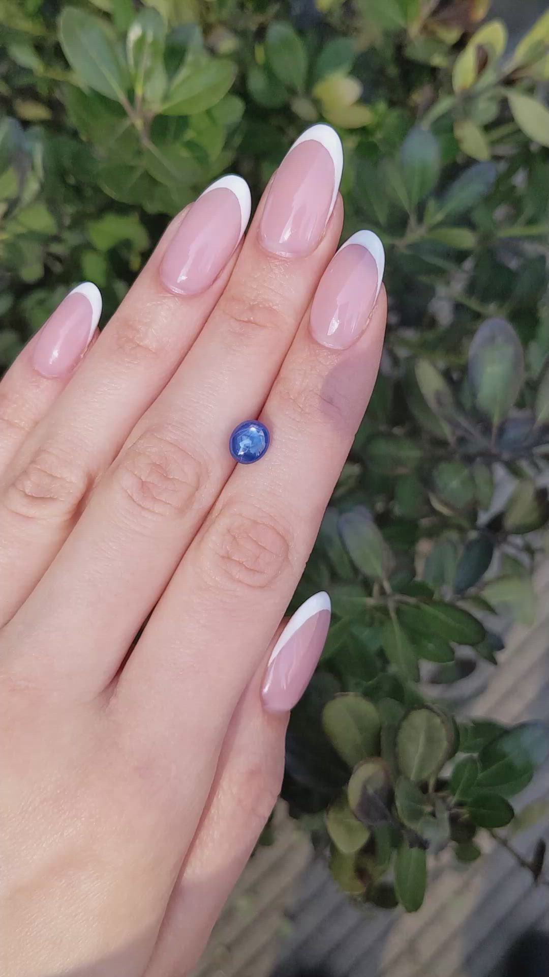 2.69 Ct. Blue Star Sapphire from Ceylon (Sri Lanka) Size Video