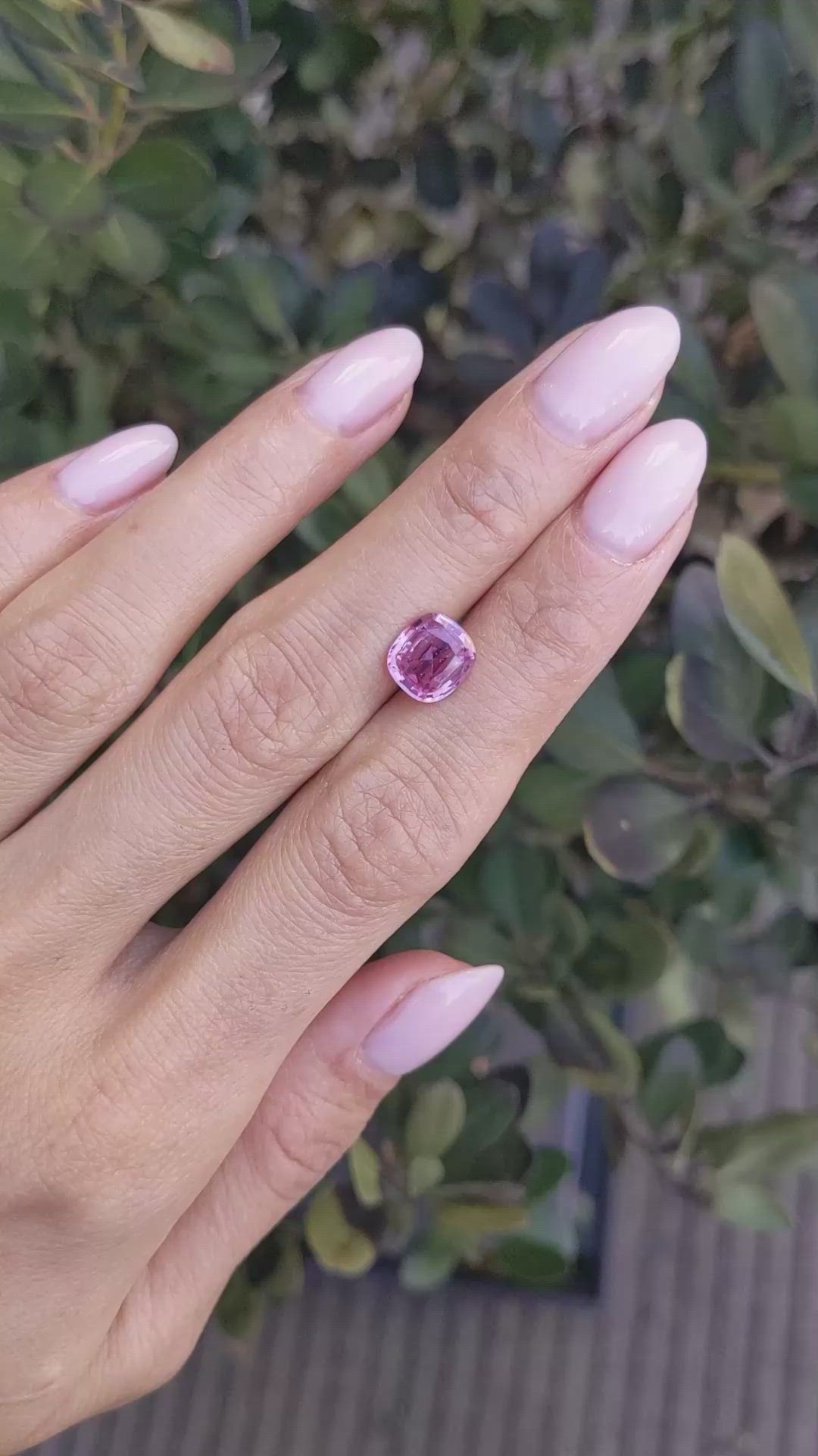 2.60 Ct. Pink Sapphire from Ceylon (Sri Lanka) Size Video