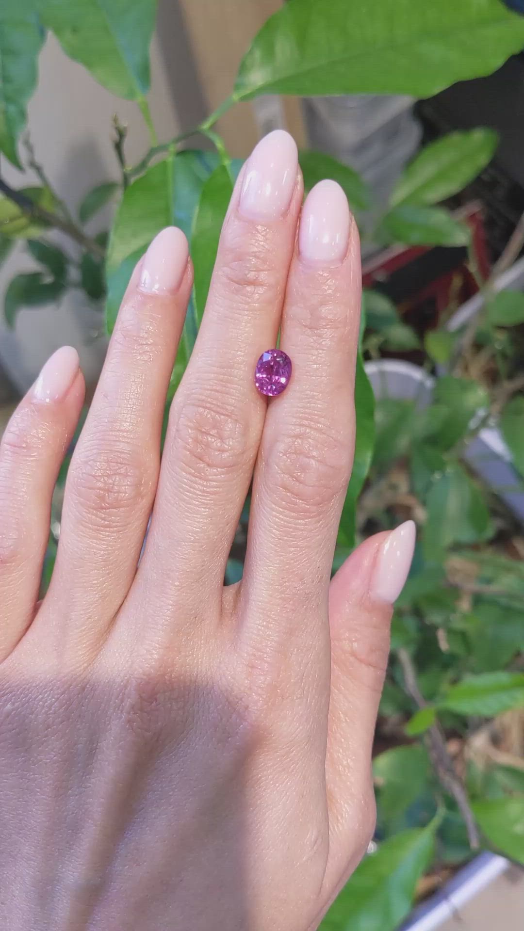 2.15 Ct. Pink Sapphire from Ceylon (Sri Lanka) Size Video