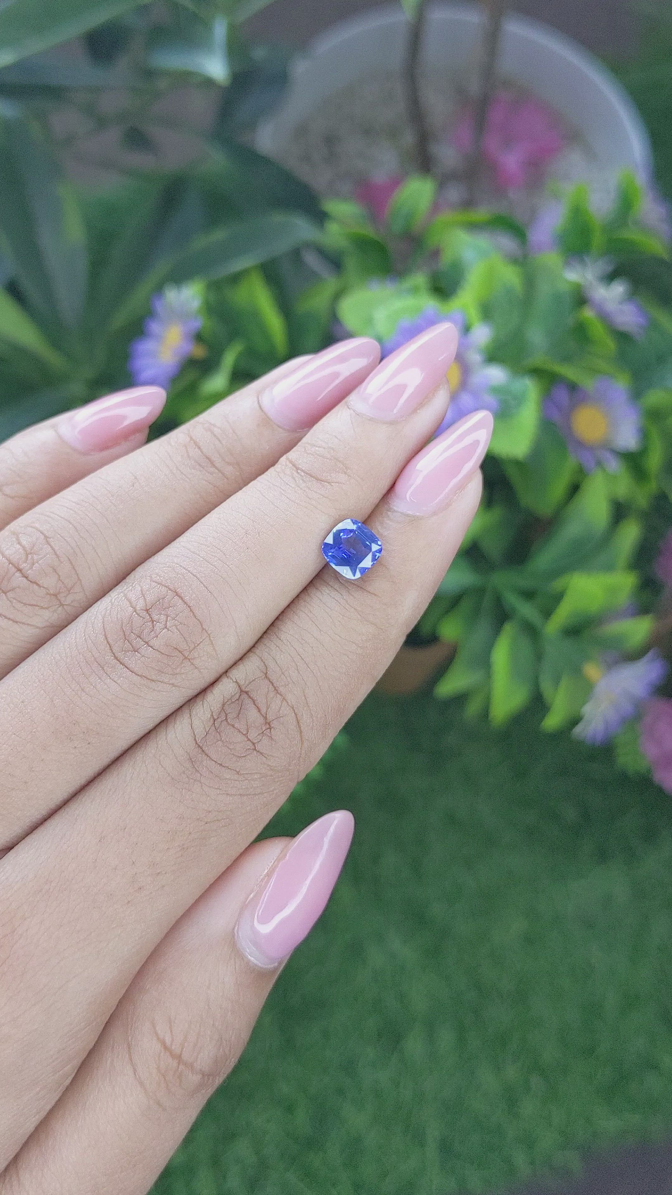 1.53 Ct. Blue Sapphire from Ceylon (Sri Lanka) Size Video