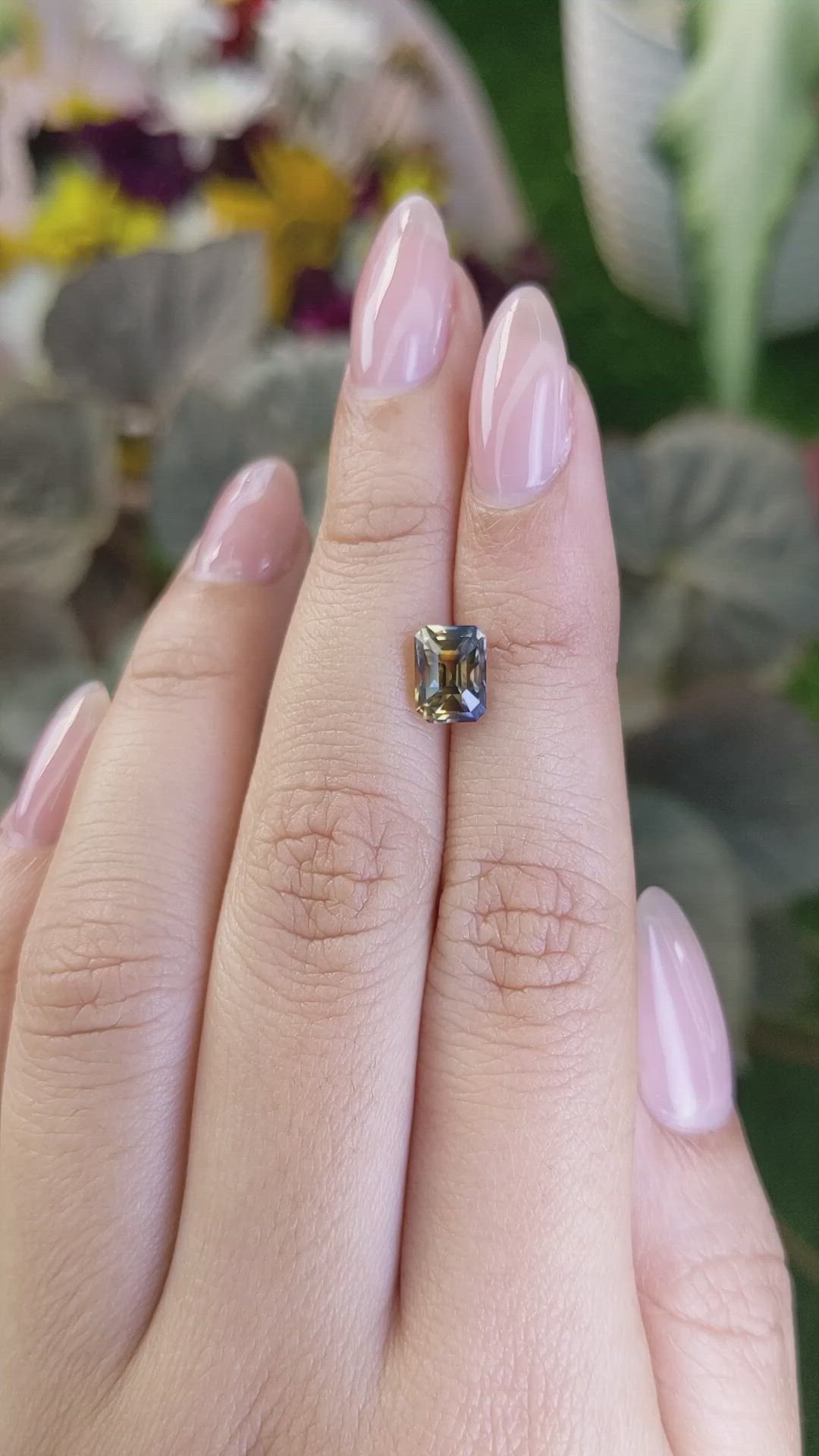 2.30 Ct. Bi Color Sapphire from Ceylon (Sri Lanka) Size Video