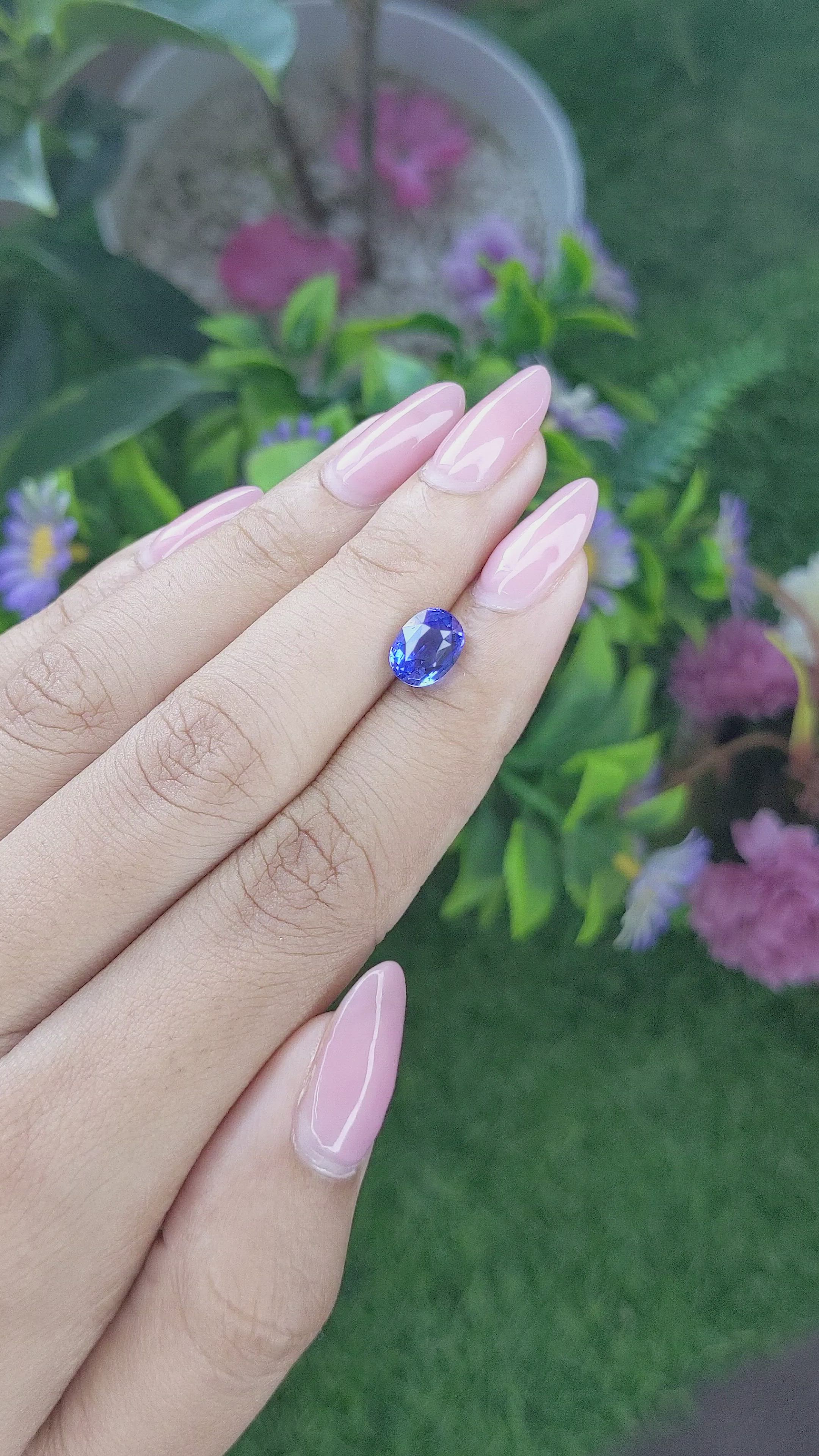 2.56 Ct. Blue Sapphire from Ceylon (Sri Lanka) Size Video