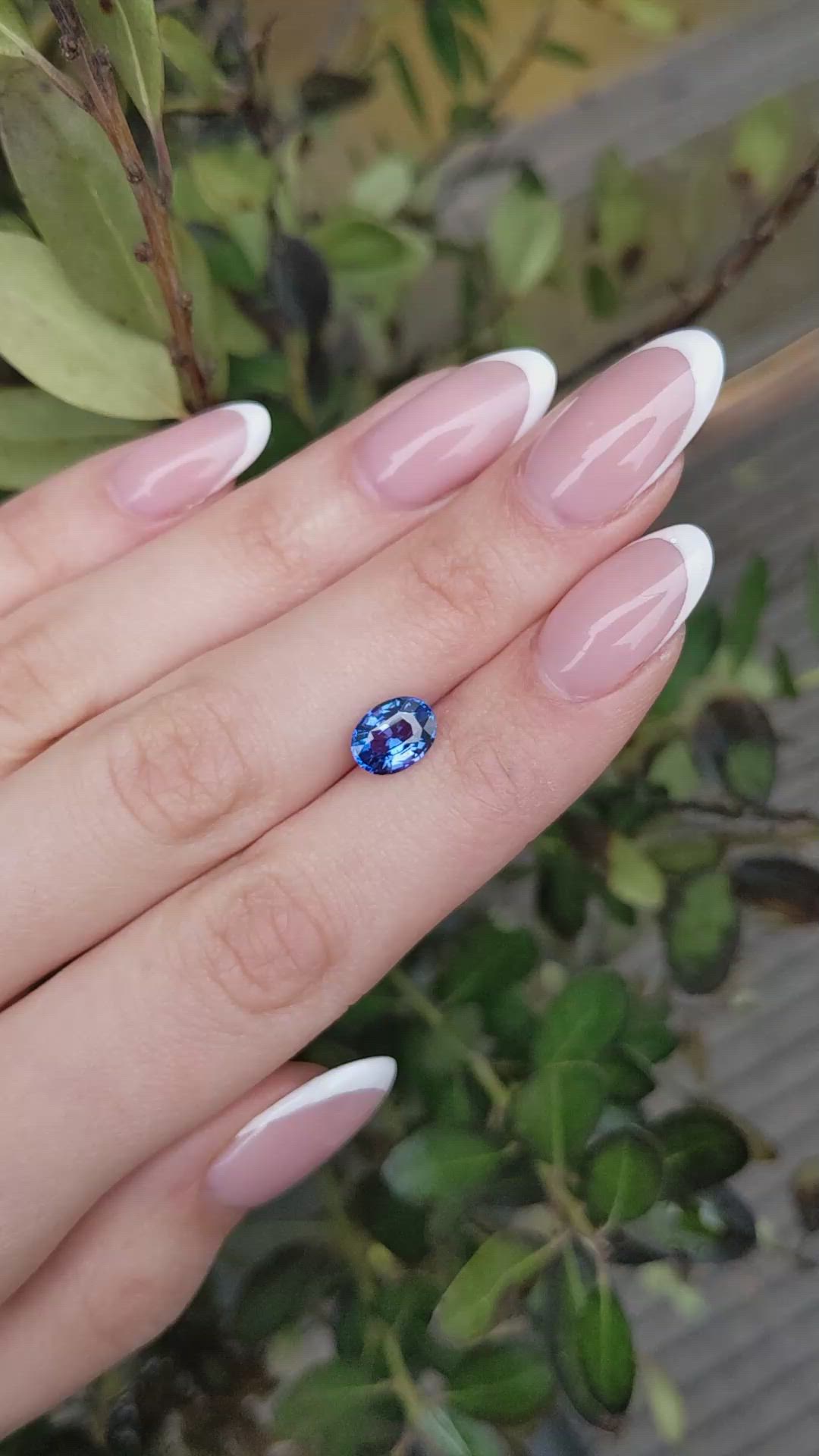 2.06 Ct. Violet Sapphire from Ceylon (Sri Lanka) Size Video