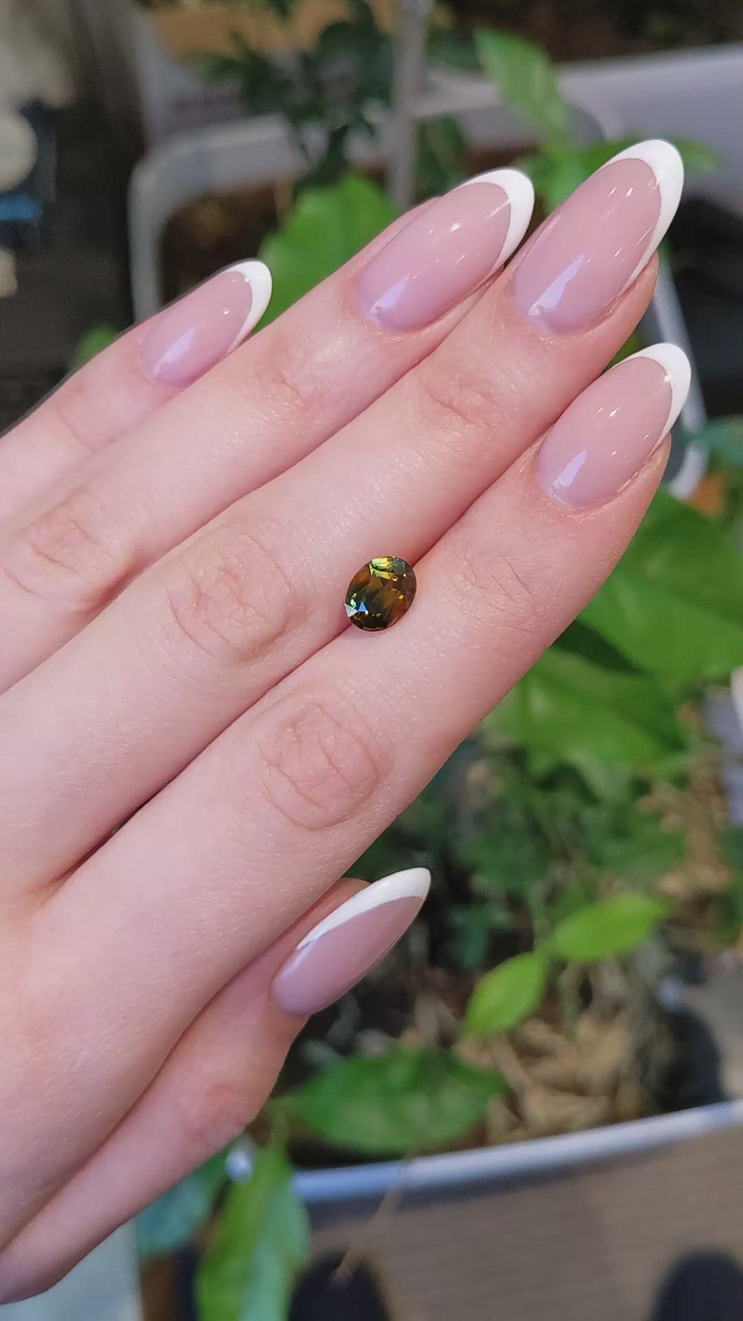 2.52 Ct. Bi Color Sapphire from Ceylon (Sri Lanka) Size Video