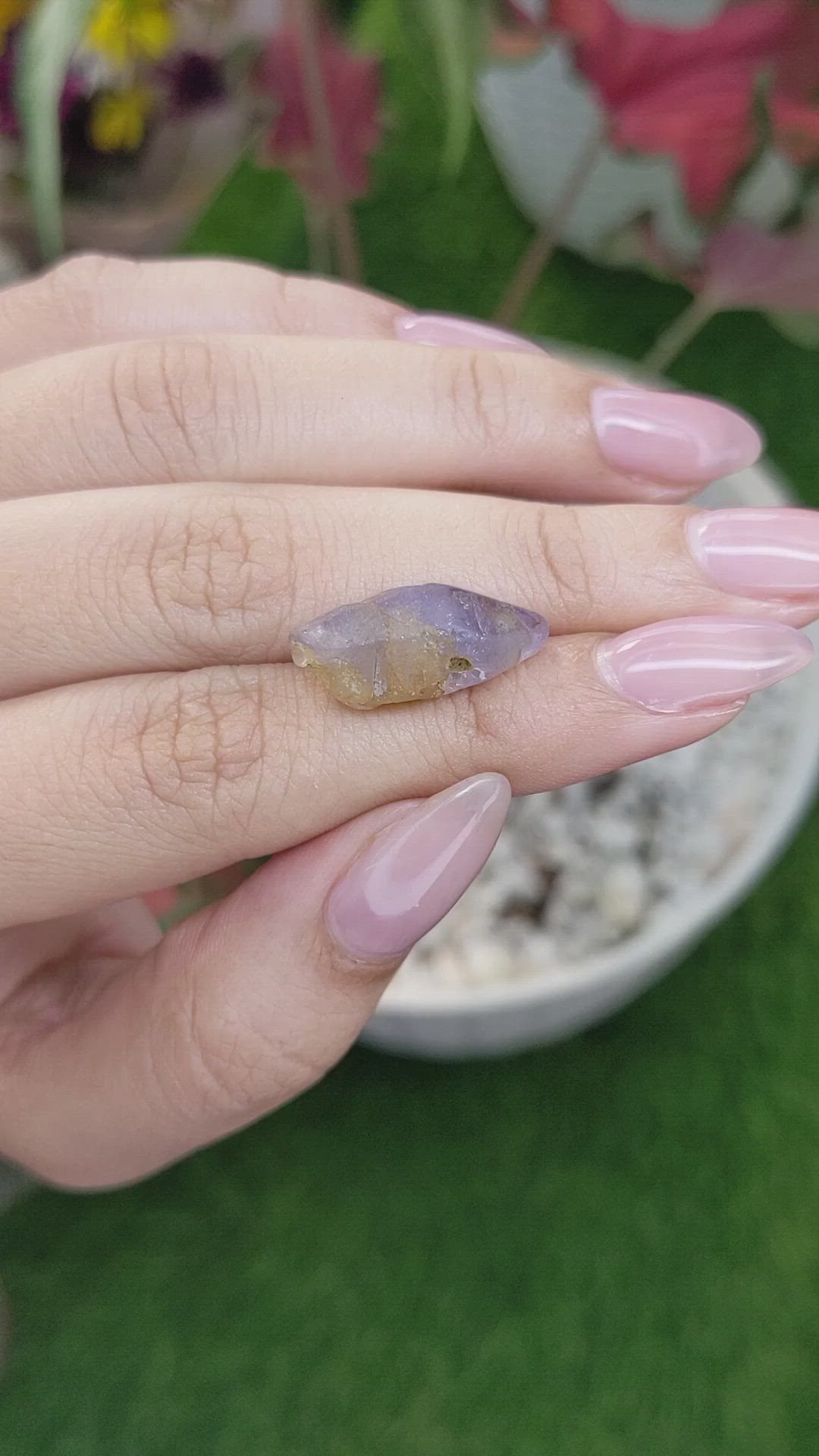 15.20 Ct. Bi Color / Parti Sapphire Crystal from Ceylon (Sri Lanka) Size Video