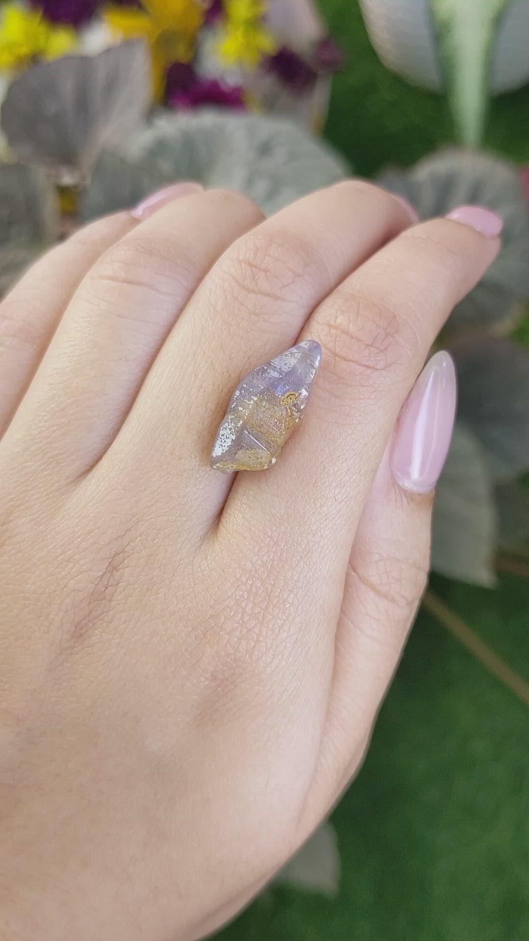 15.20 Ct. Bi Color / Parti Sapphire Crystal from Ceylon (Sri Lanka) Size Video