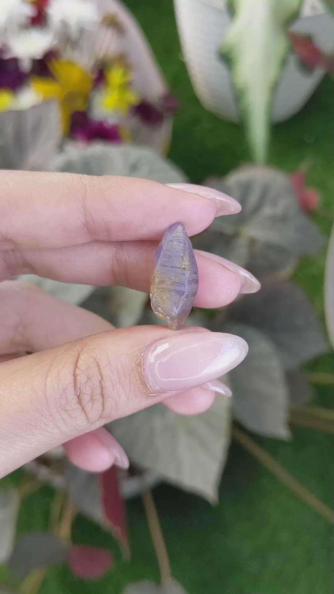 15.20 Ct. Bi Color / Parti Sapphire Crystal from Ceylon (Sri Lanka) Size Video