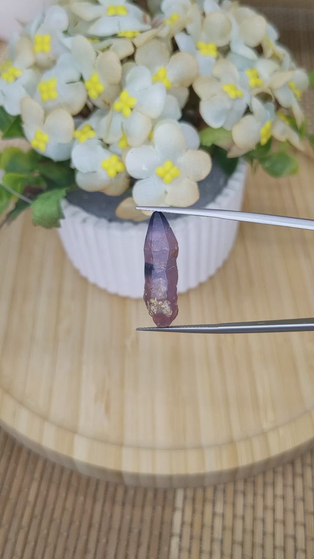 15.61 Ct. Bi Color / Parti Sapphire Crystal from Ceylon (Sri Lanka) Size Video