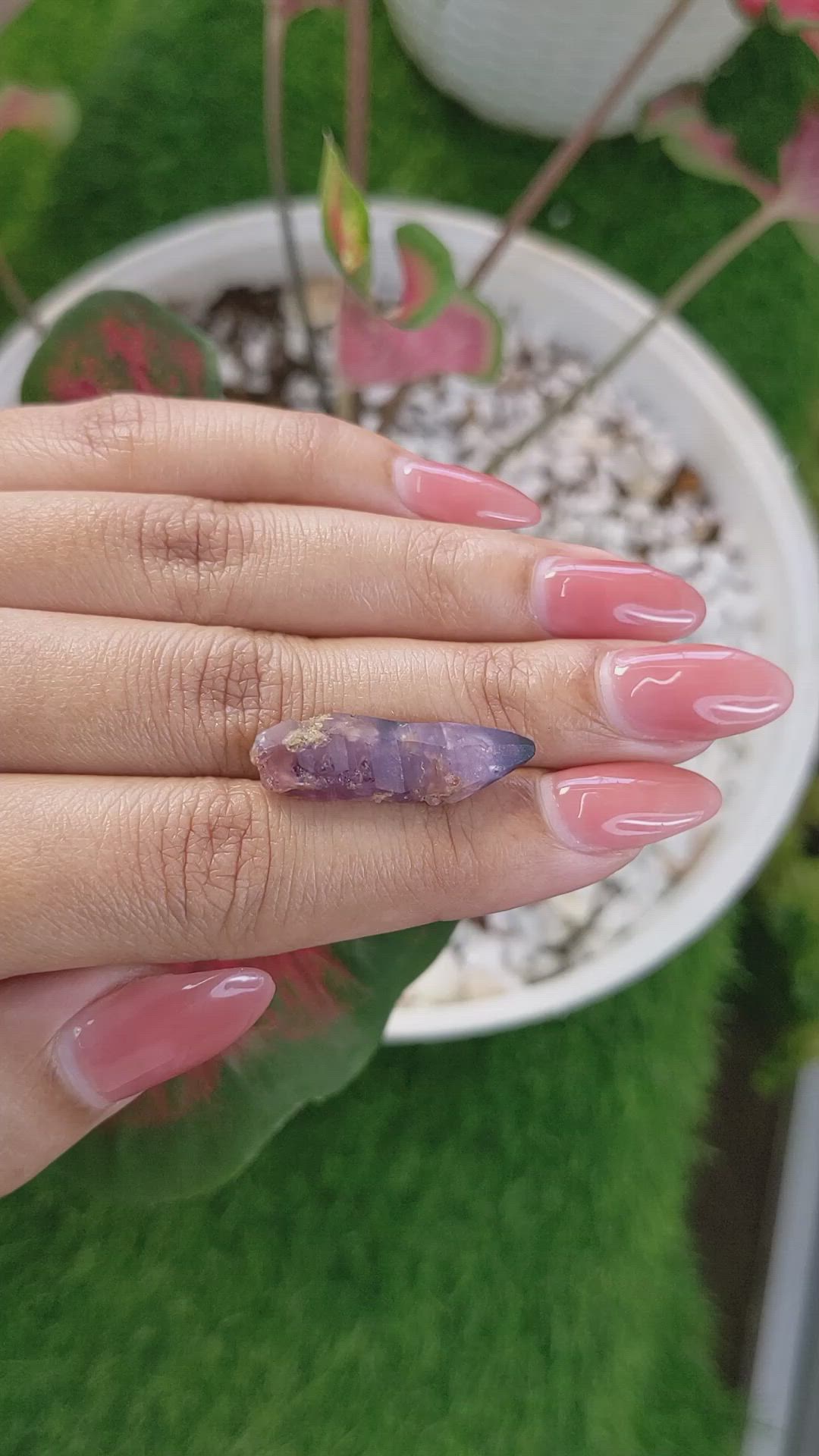 15.61 Ct. Bi Color / Parti Sapphire Crystal from Ceylon (Sri Lanka) Size Video