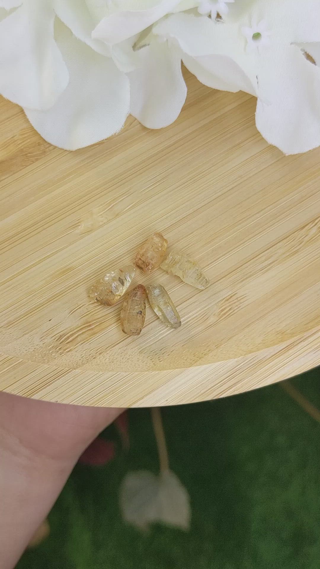 13.88 Ct. Yellowish Brown Sapphire Crystal from Ceylon (Sri Lanka) Size Video
