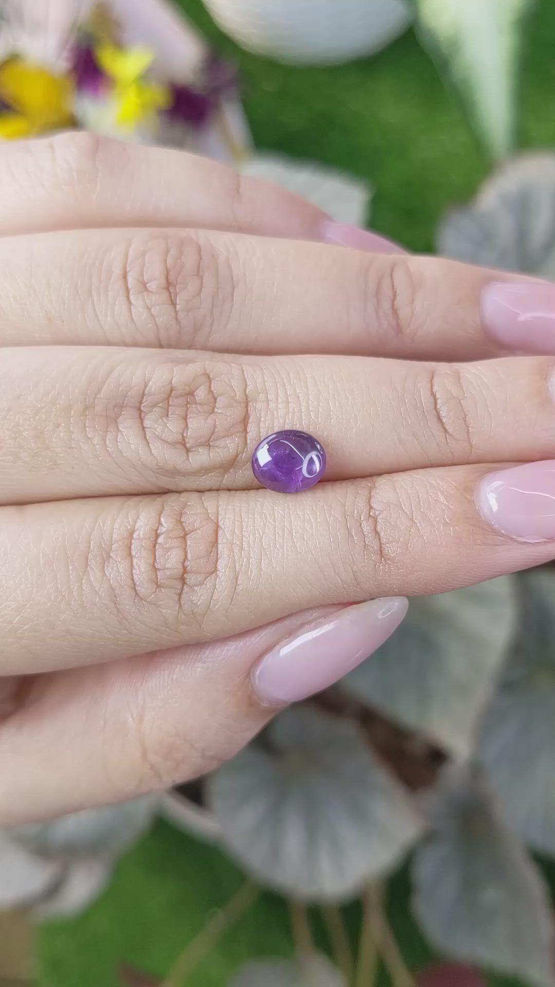 1.72 Ct. Purple Star Sapphire from Ceylon (Sri Lanka) Size Video