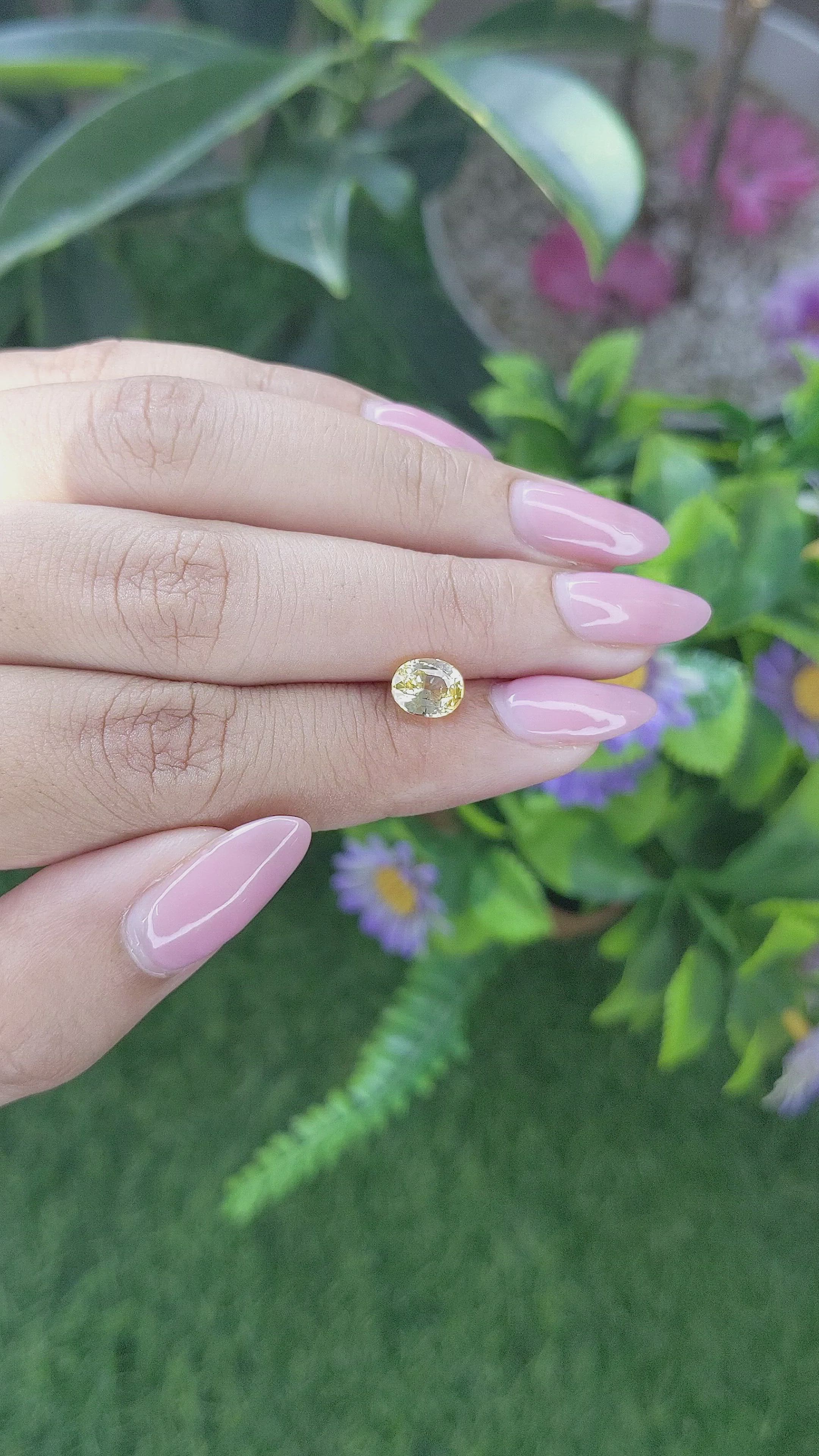 1.55 Ct. Yellow Sapphire from Ceylon (Sri Lanka) Size Video