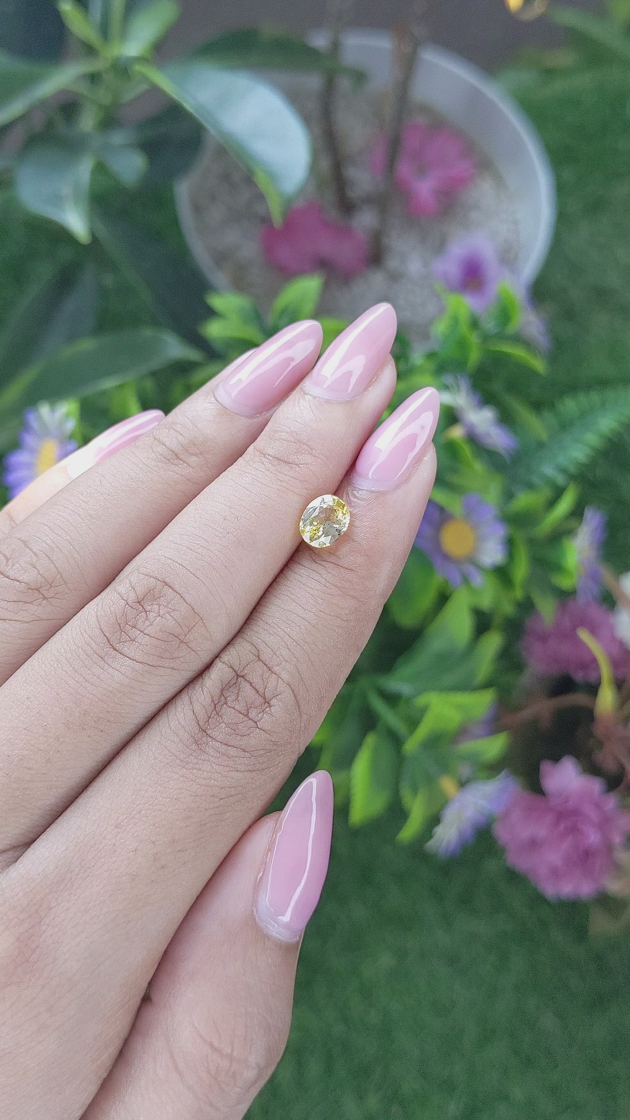1.55 Ct. Yellow Sapphire from Ceylon (Sri Lanka) Size Video