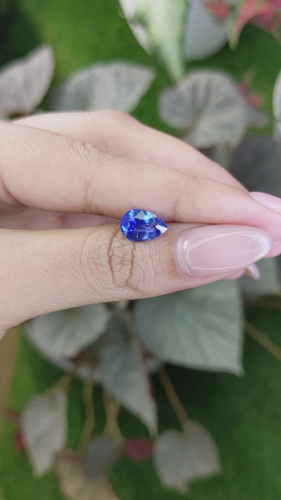 2.53 Ct. Blue Sapphire from Ceylon (Sri Lanka) Size Video