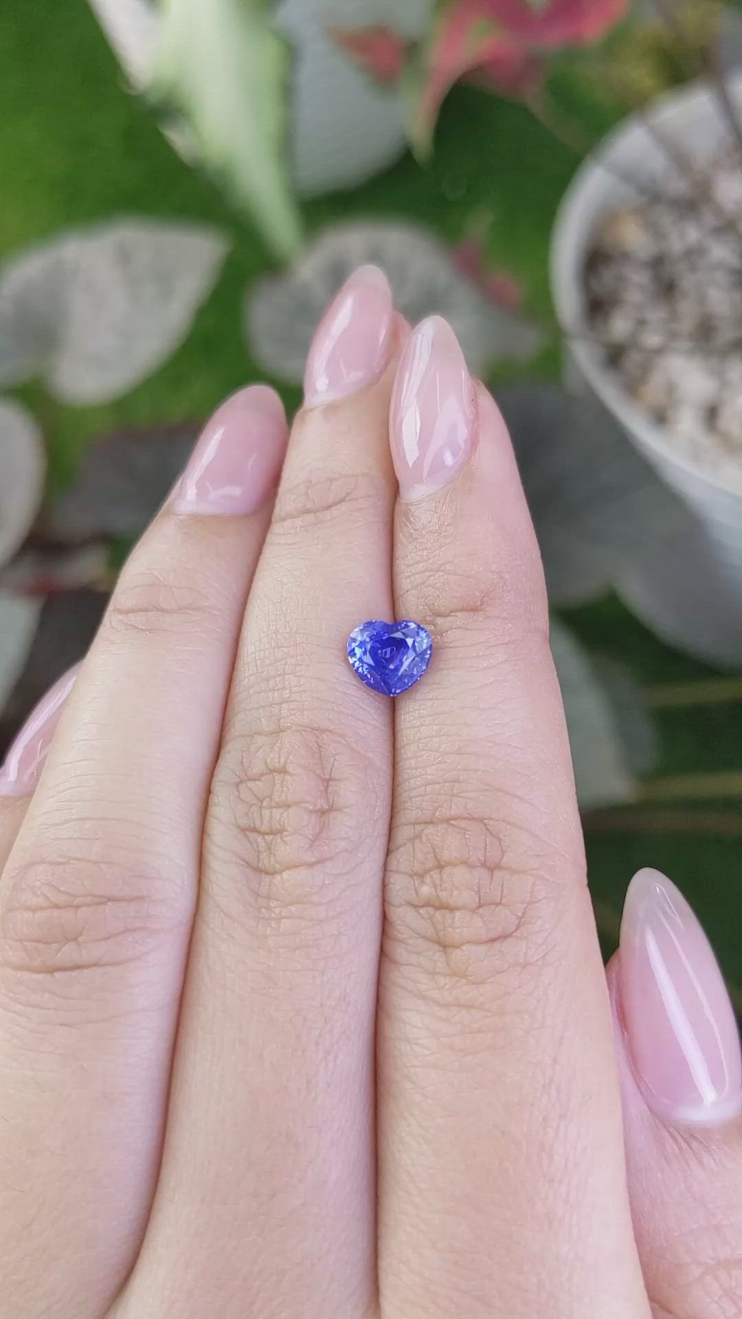 1.66 Ct. Blue Sapphire from Ceylon (Sri Lanka) Size Video