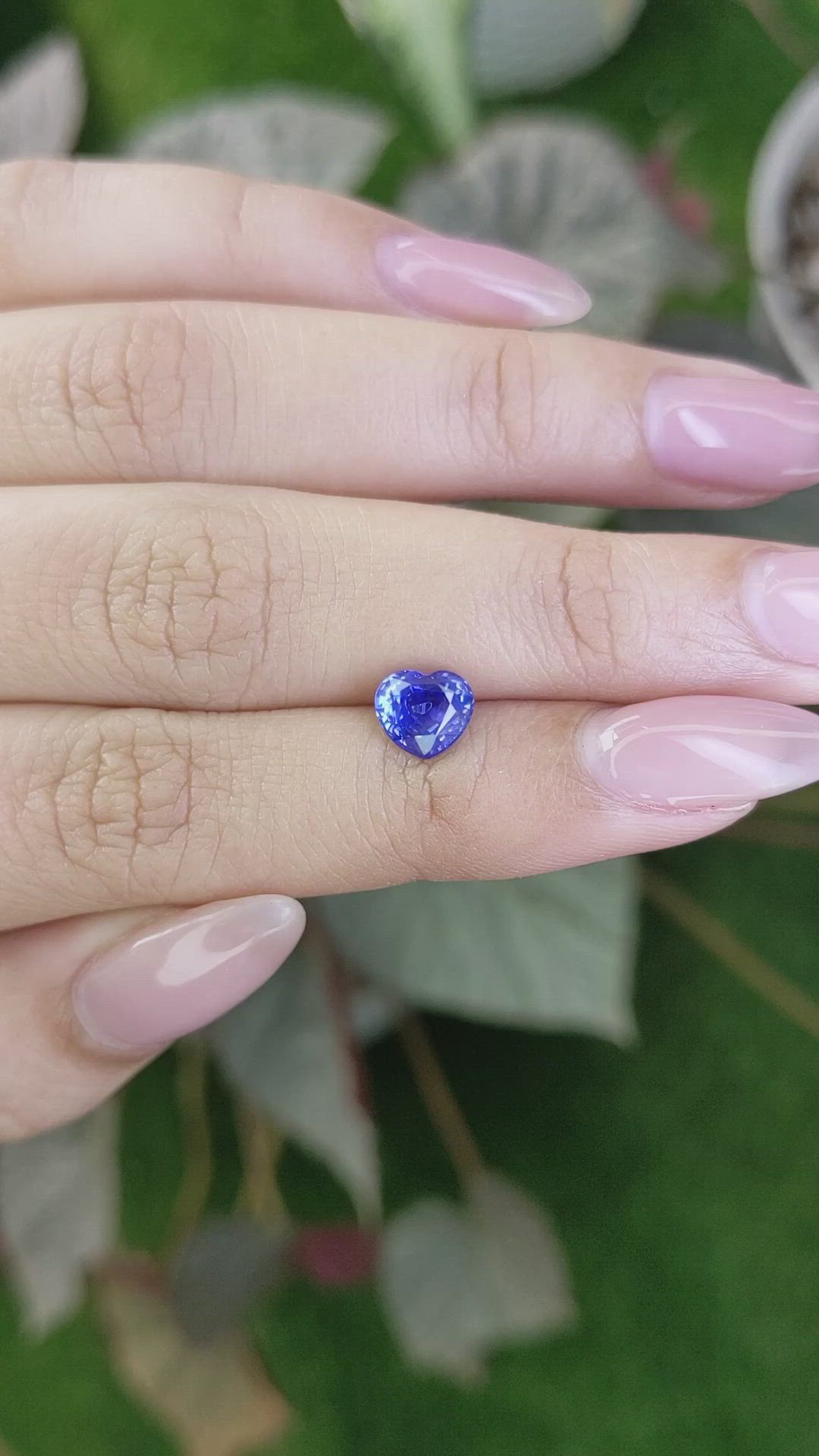 1.66 Ct. Blue Sapphire from Ceylon (Sri Lanka) Size Video