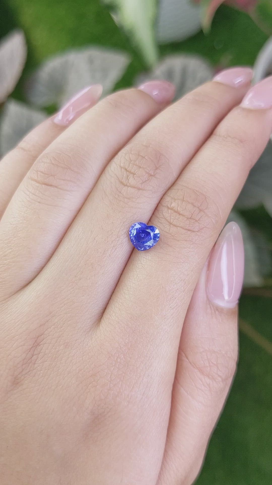 1.66 Ct. Blue Sapphire from Ceylon (Sri Lanka) Size Video