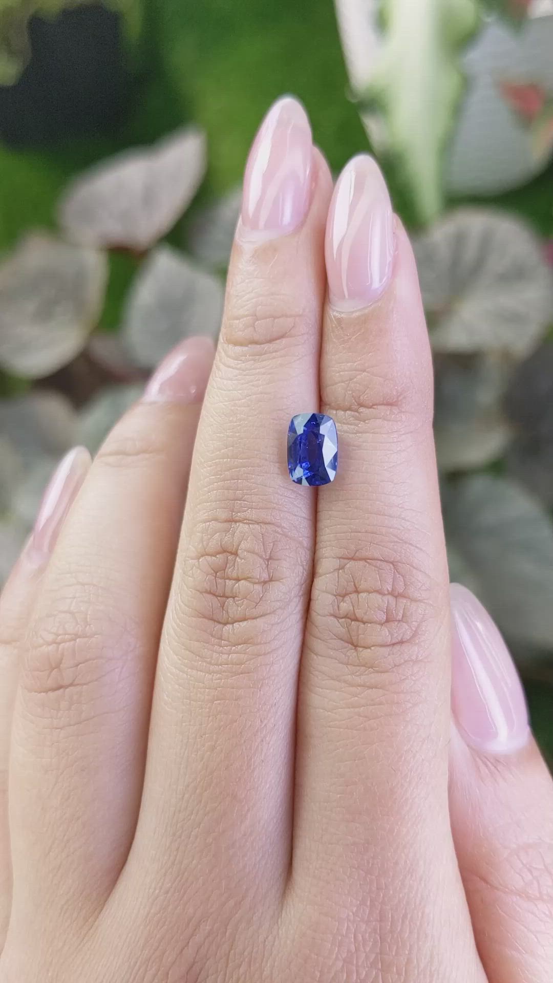 2.53 Ct. Blue Sapphire from Ceylon (Sri Lanka) Size Video