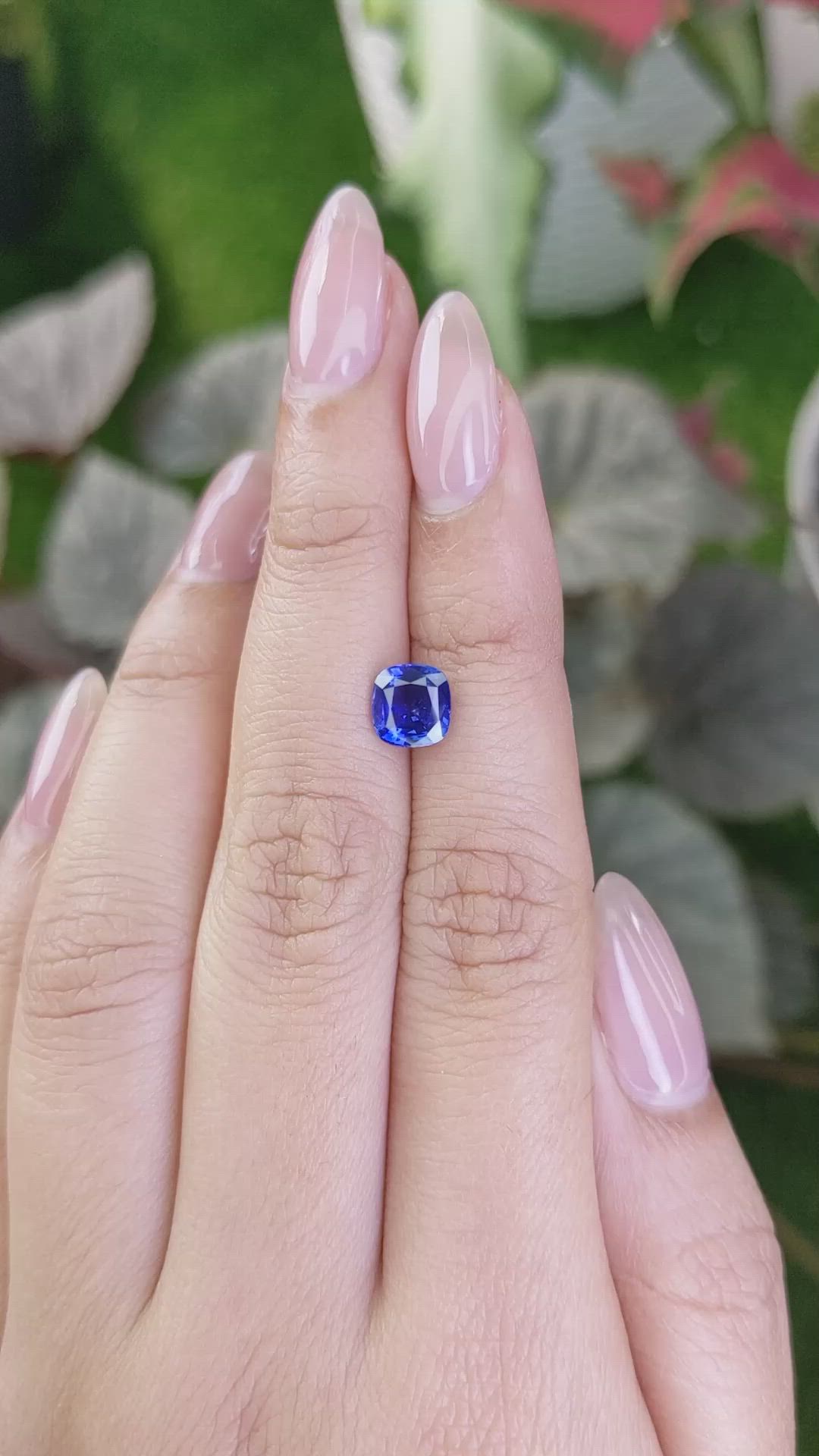 1.59 Ct. Blue Sapphire from Ceylon (Sri Lanka) Size Video