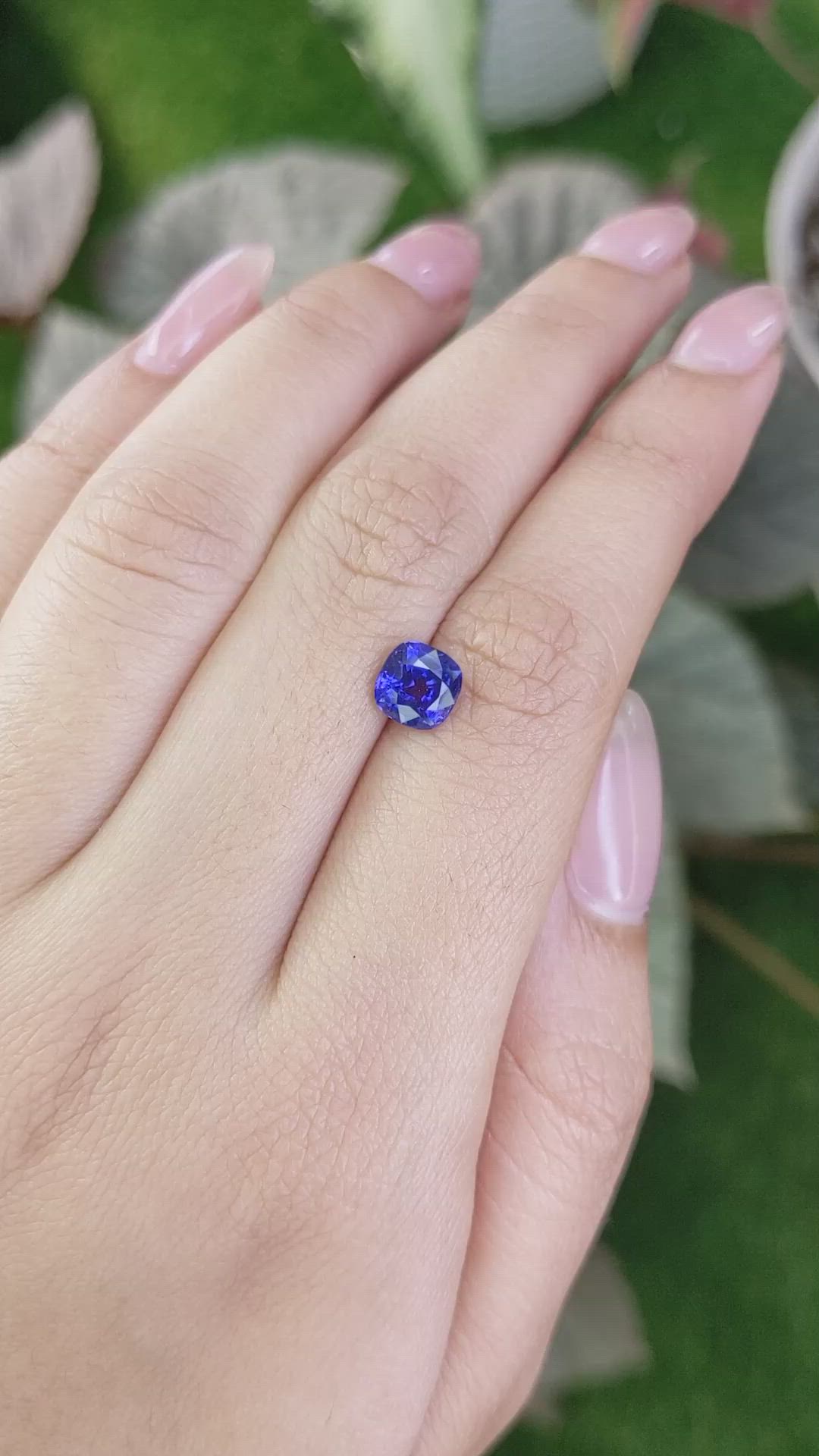 1.65 Ct. Blue Sapphire from Ceylon (Sri Lanka) Size Video