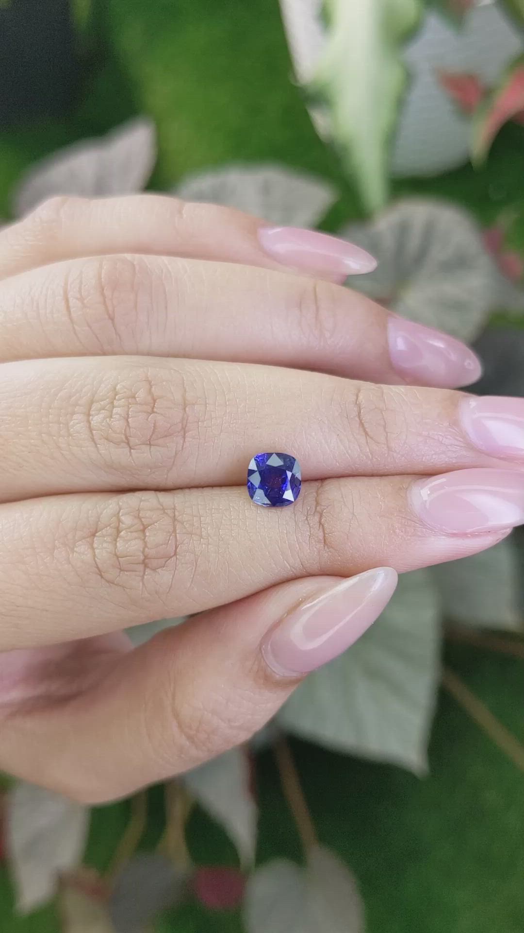 1.65 Ct. Blue Sapphire from Ceylon (Sri Lanka) Size Video