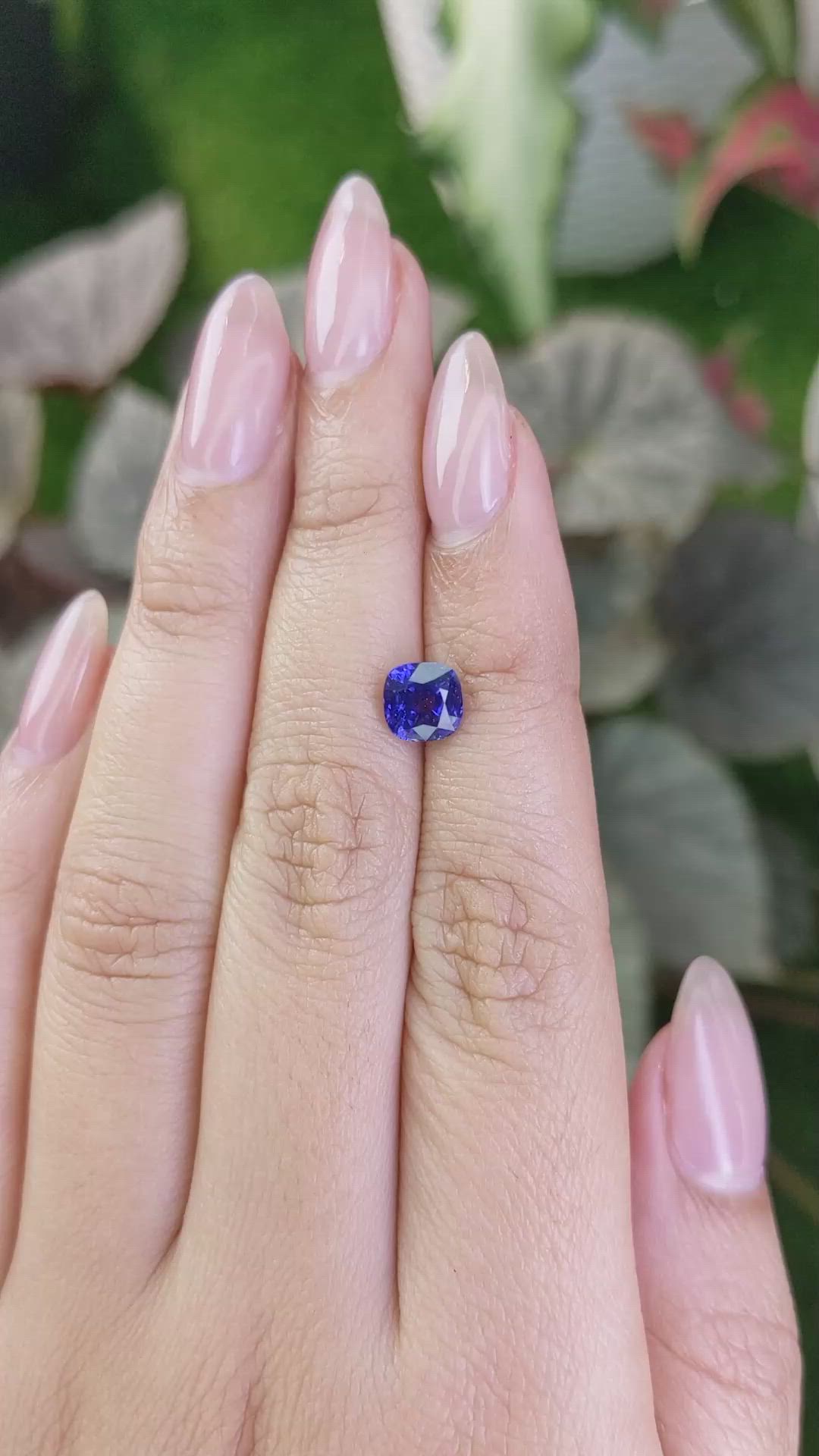 1.65 Ct. Blue Sapphire from Ceylon (Sri Lanka) Size Video