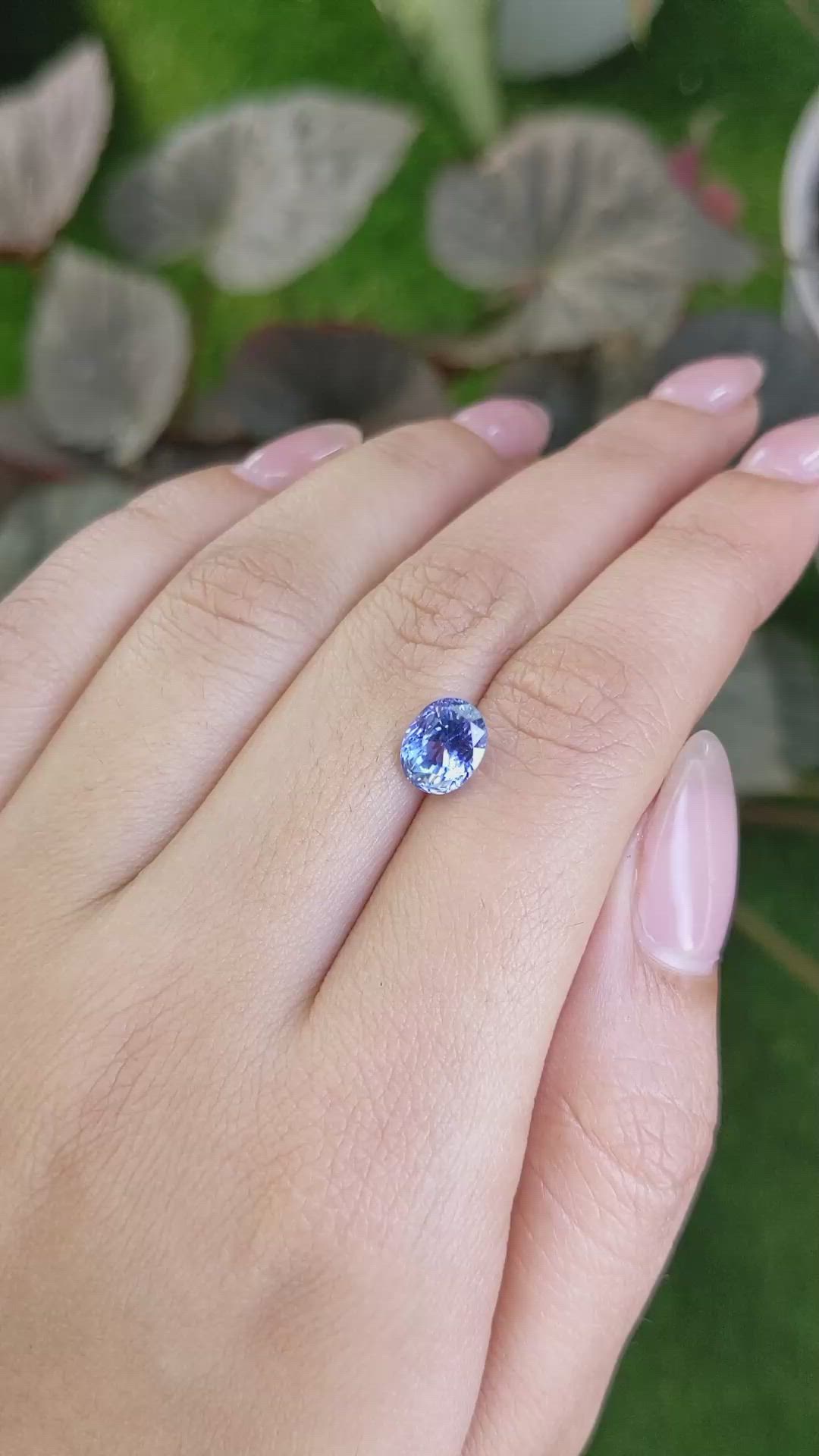 2.51 Ct. Blue Sapphire from Ceylon (Sri Lanka) Size Video