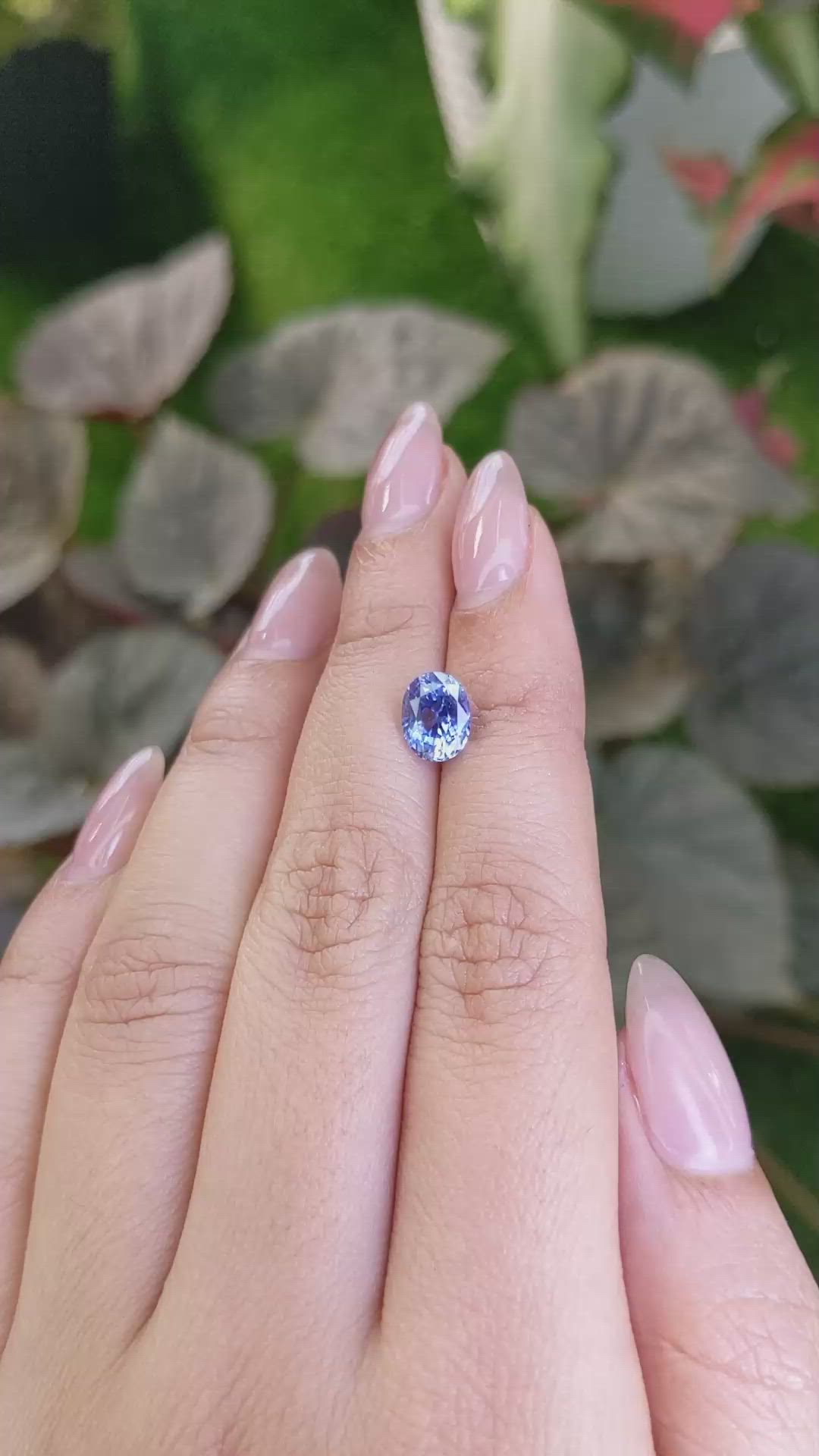 2.51 Ct. Blue Sapphire from Ceylon (Sri Lanka) Size Video
