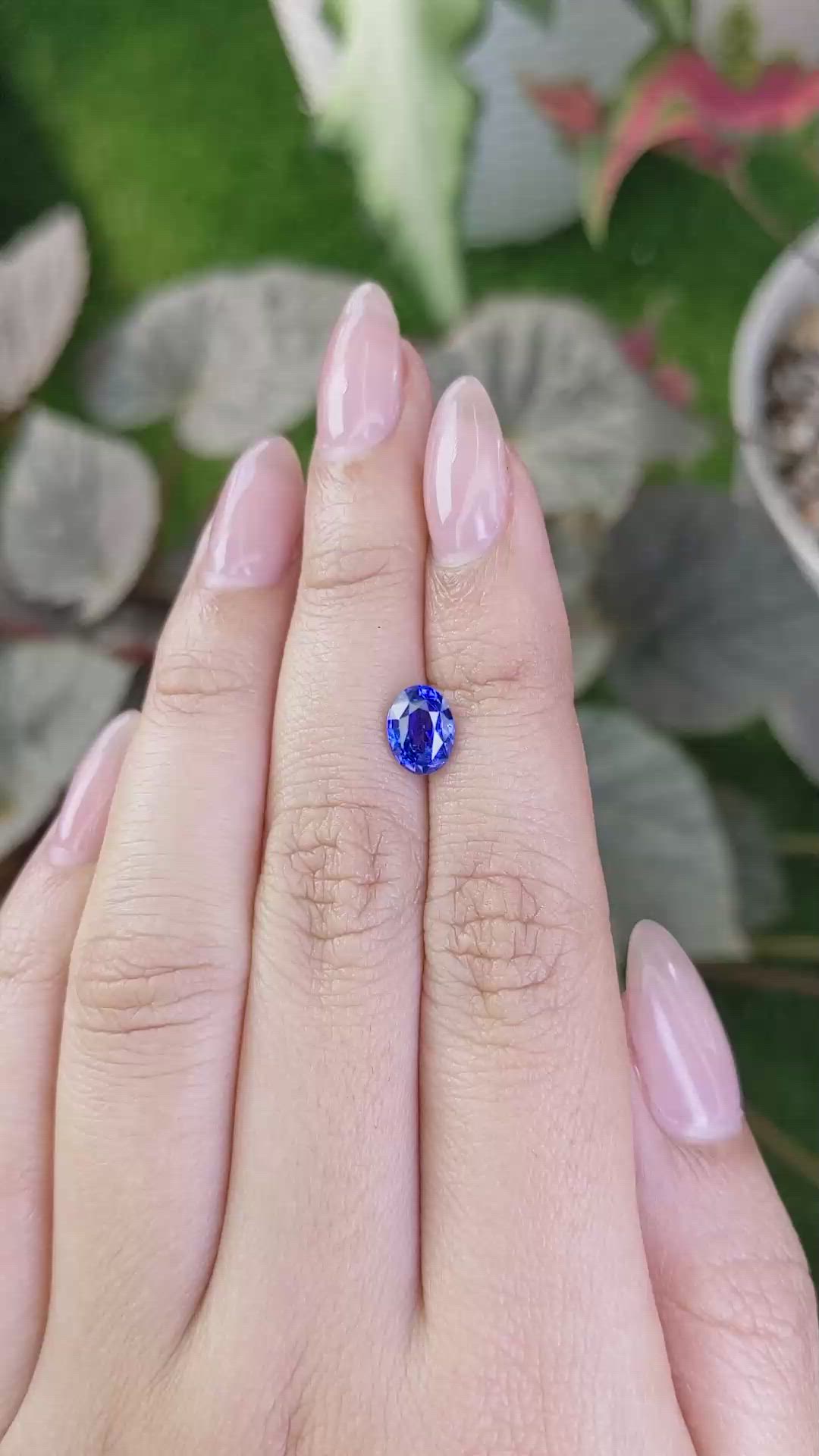 1.55 Ct. Blue Sapphire from Ceylon (Sri Lanka) Size Video
