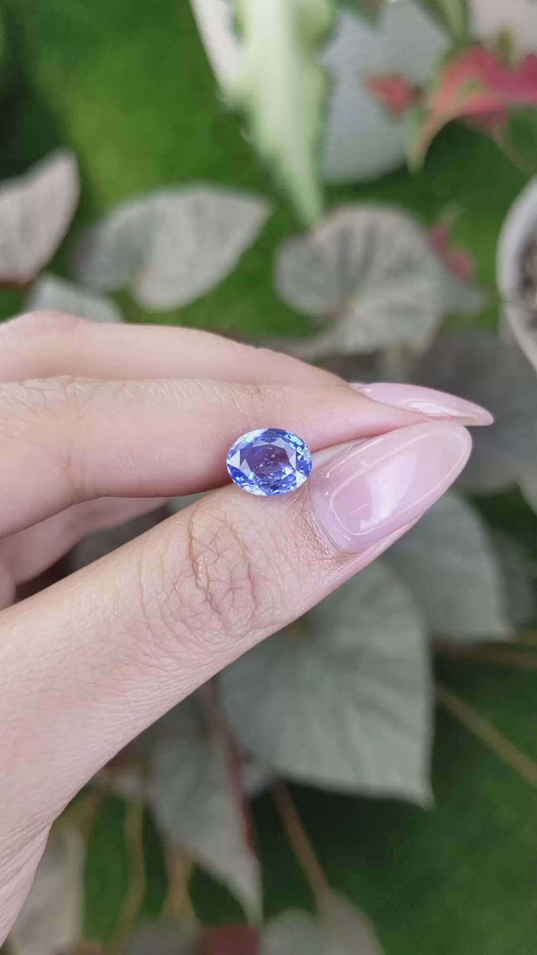 2.77 Ct. Blue Sapphire from Ceylon (Sri Lanka) Size Video