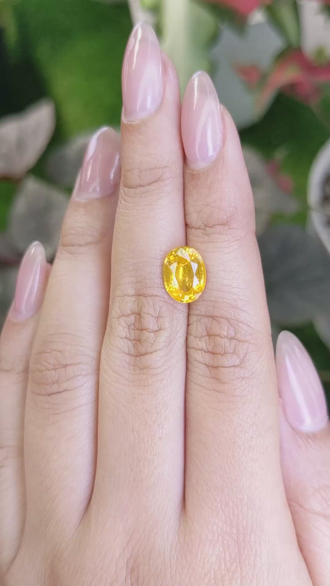 3.04 Ct. Orangish Yellow Sapphire from Ceylon (Sri Lanka) Size Video
