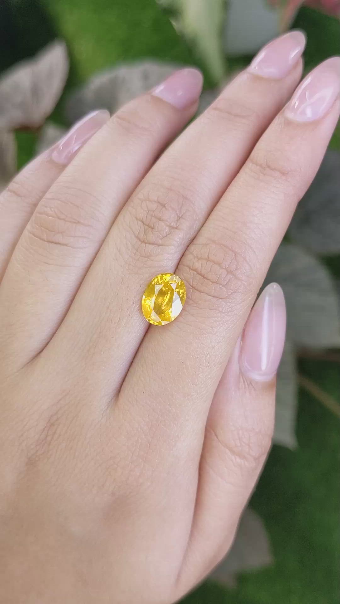 3.04 Ct. Orangish Yellow Sapphire from Ceylon (Sri Lanka) Size Video