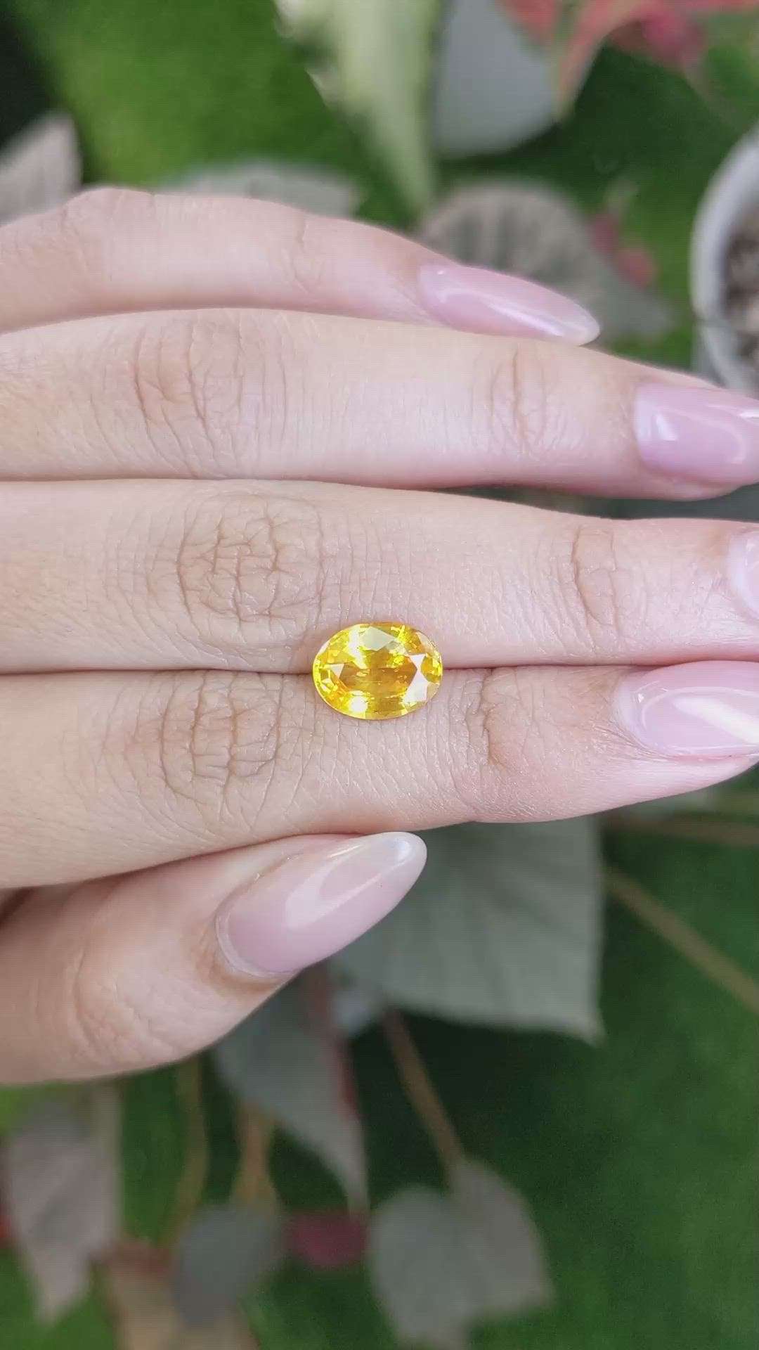3.04 Ct. Orangish Yellow Sapphire from Ceylon (Sri Lanka) Size Video