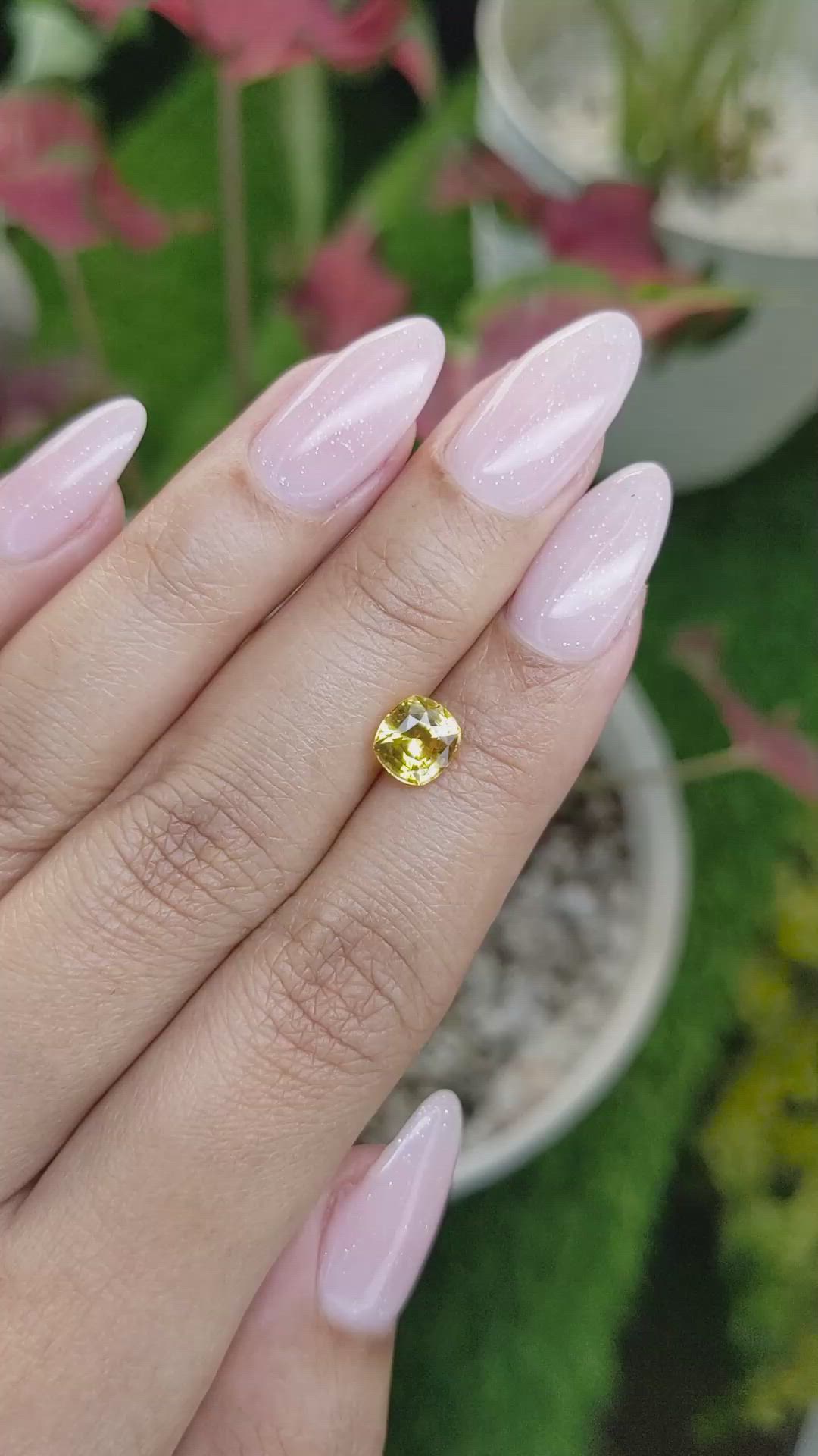 1.58 Ct. Yellow Sapphire from Ceylon (Sri Lanka) Size Video