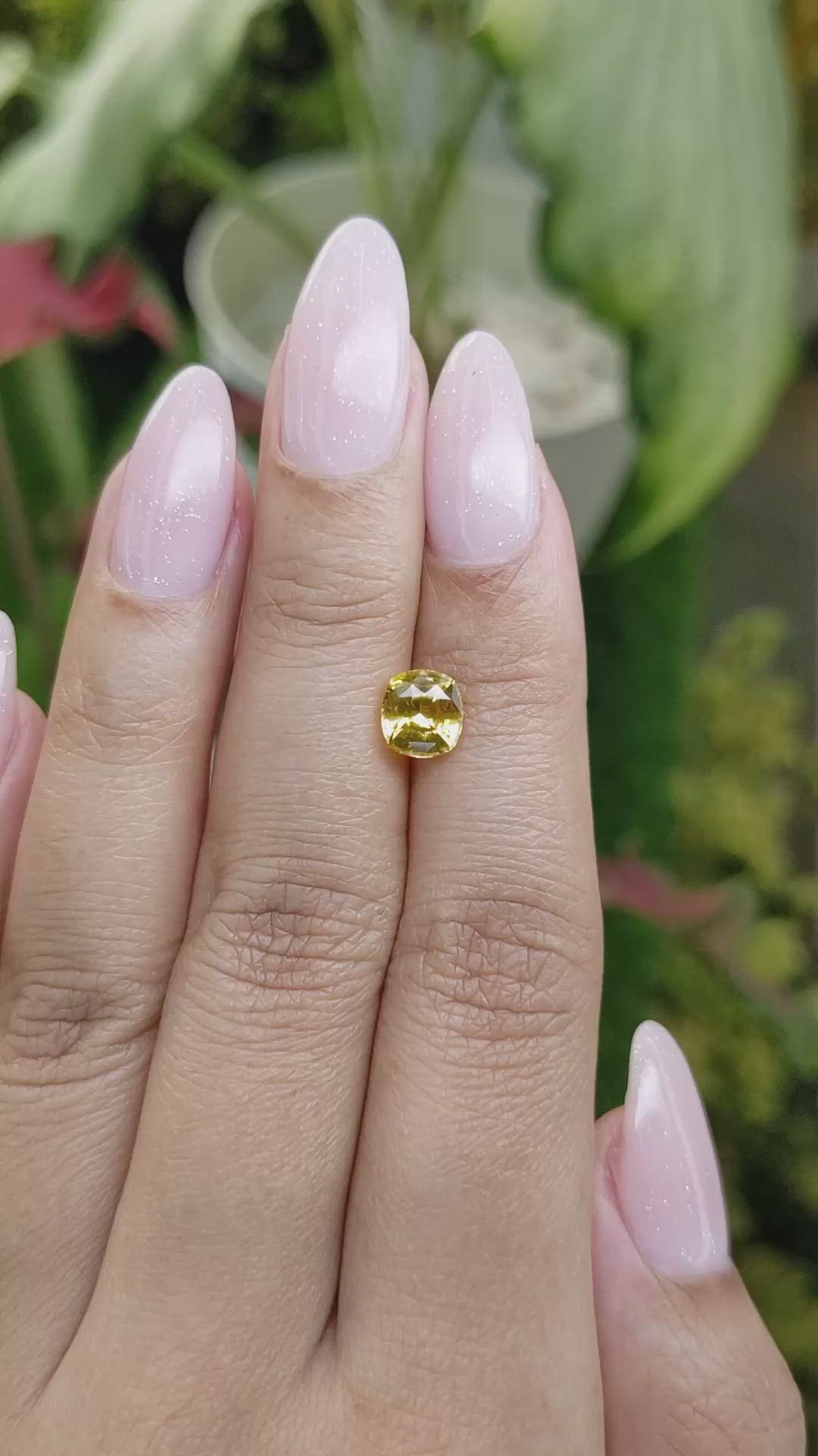 1.58 Ct. Yellow Sapphire from Ceylon (Sri Lanka) Size Video